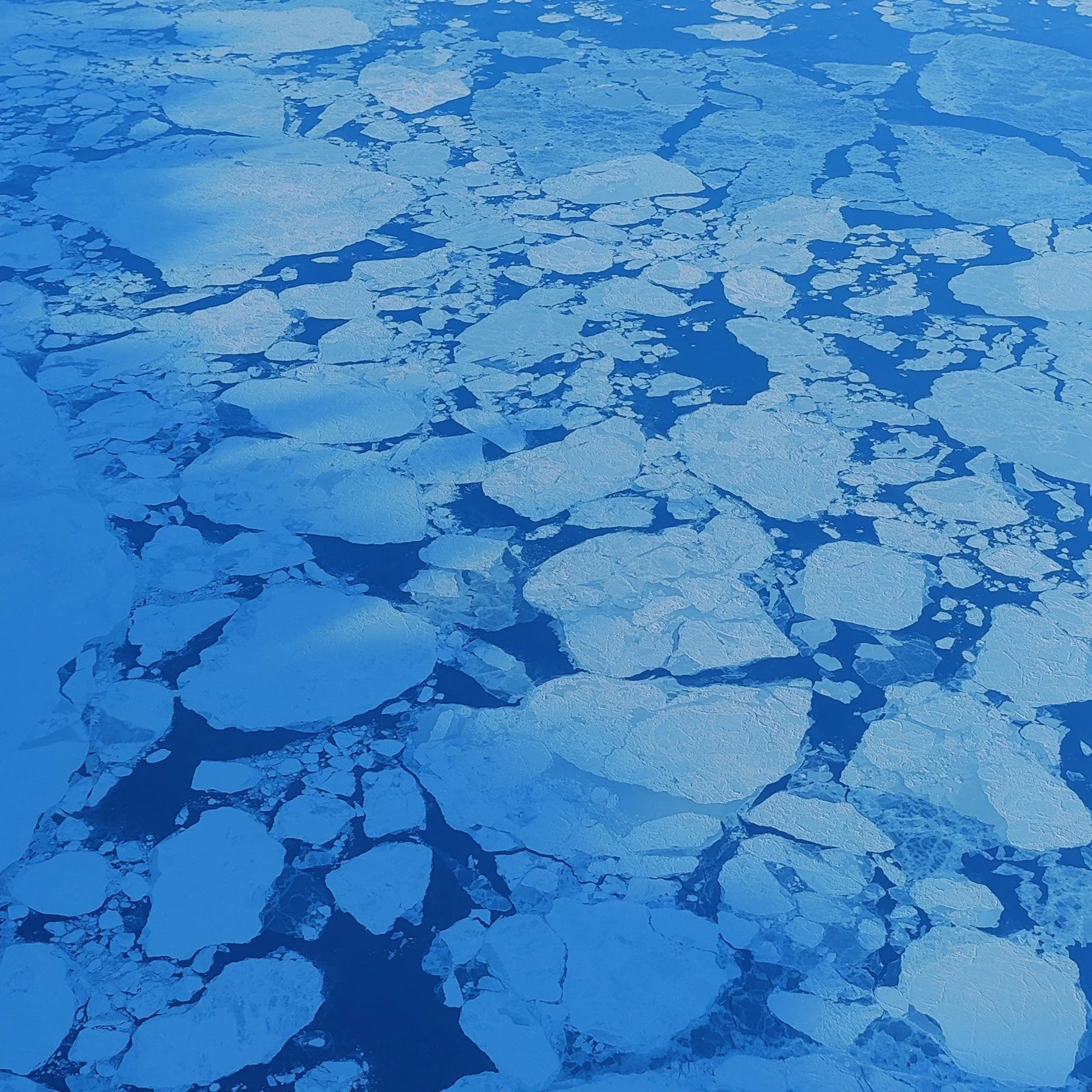 Schneebedecktes Wasser mit Eisschollen auf der Meeresoberfläche