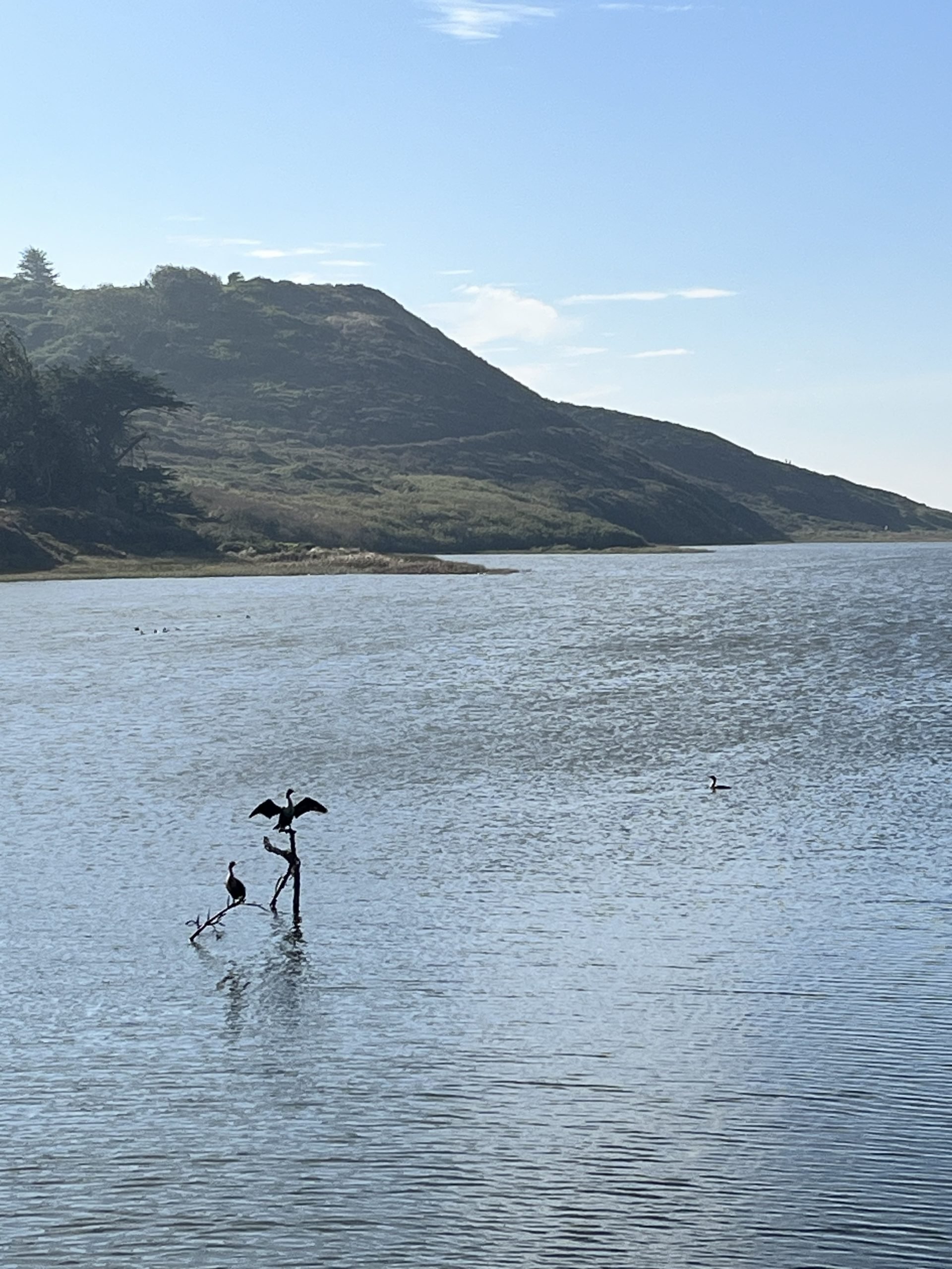 Our Kind of Bird(ing) Day