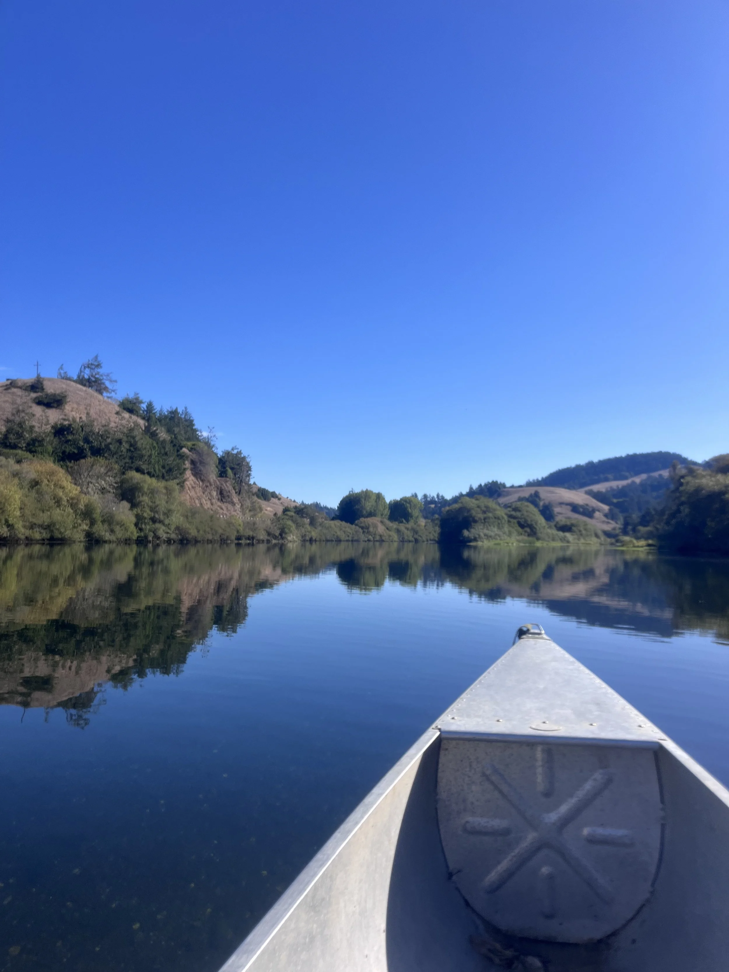 Sonoma River Life