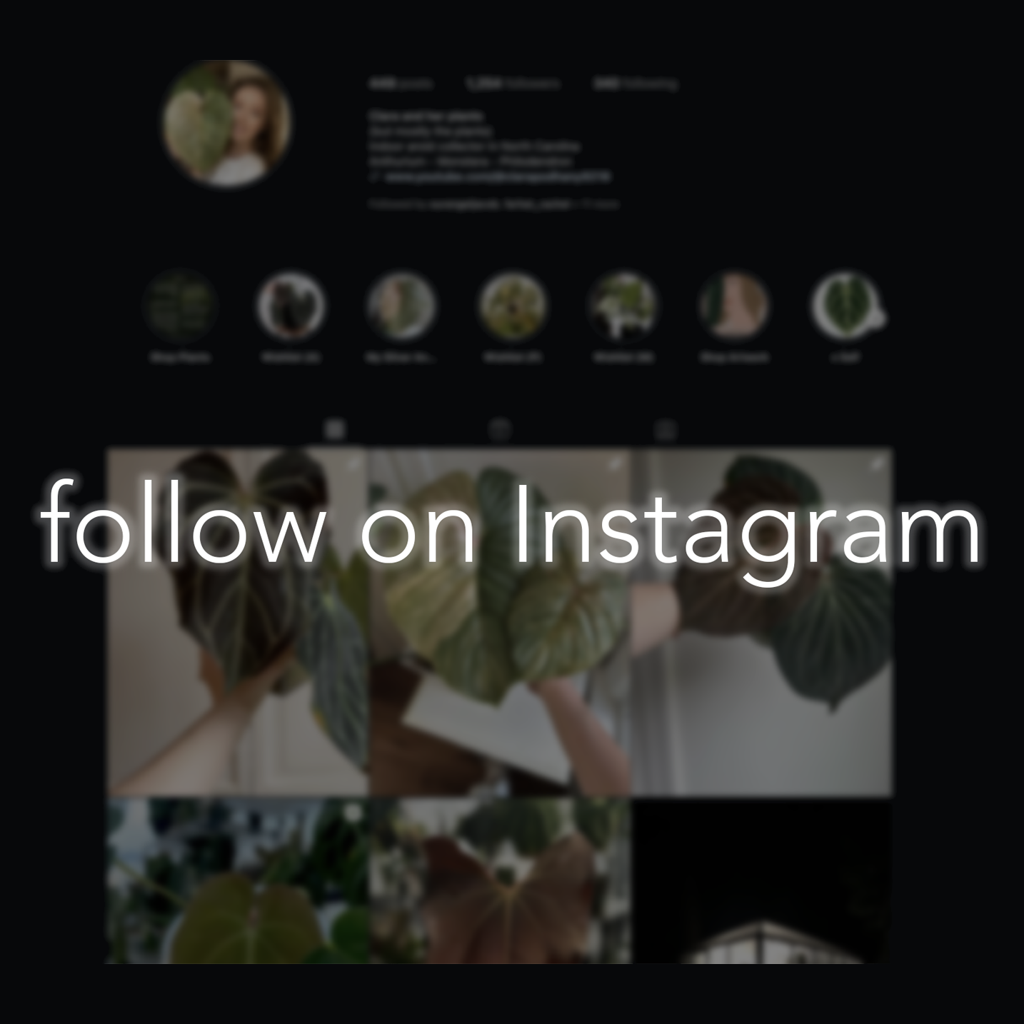Instagram profile screen with a blurred background and large text that reads 'follow on Instagram'.