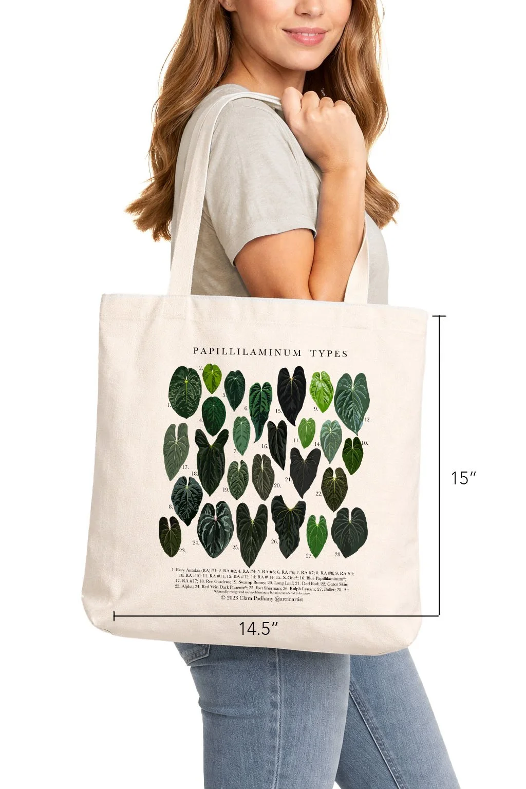 Papillilaminum Types Merch