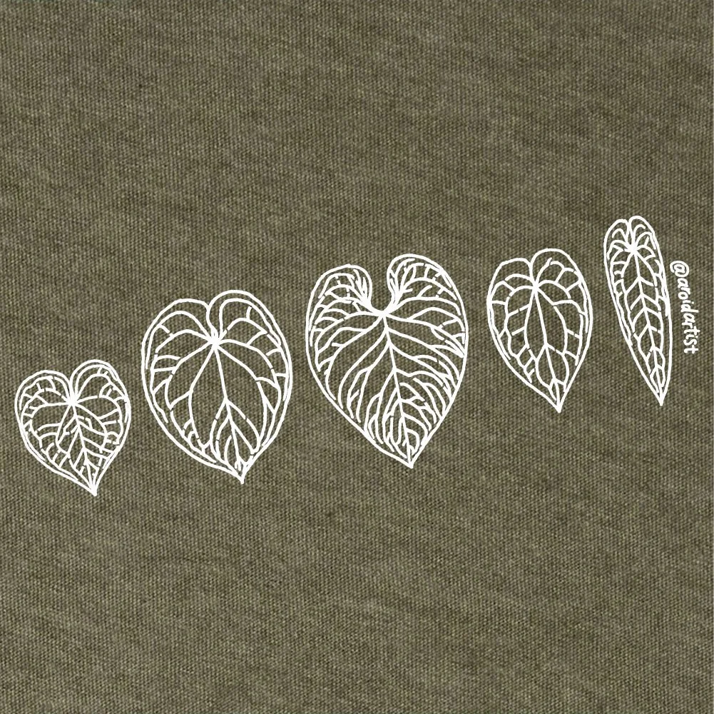 classic anthurium green.jpg