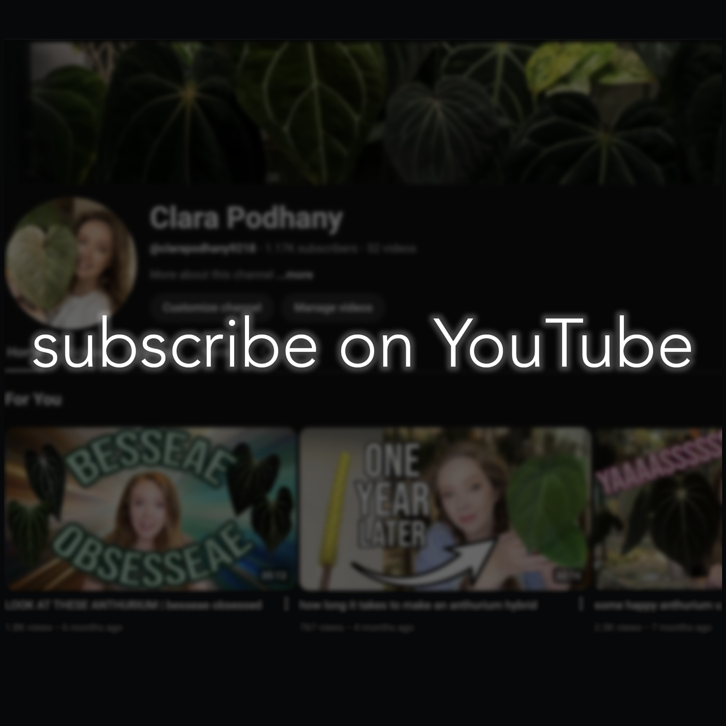 A YouTube screenshot featuring a blurred profile of Clara Podhany, with the overlay text 'subscribe on YouTube' in large white font, surrounded by thumbnail previews of her videos and tropical plant images.