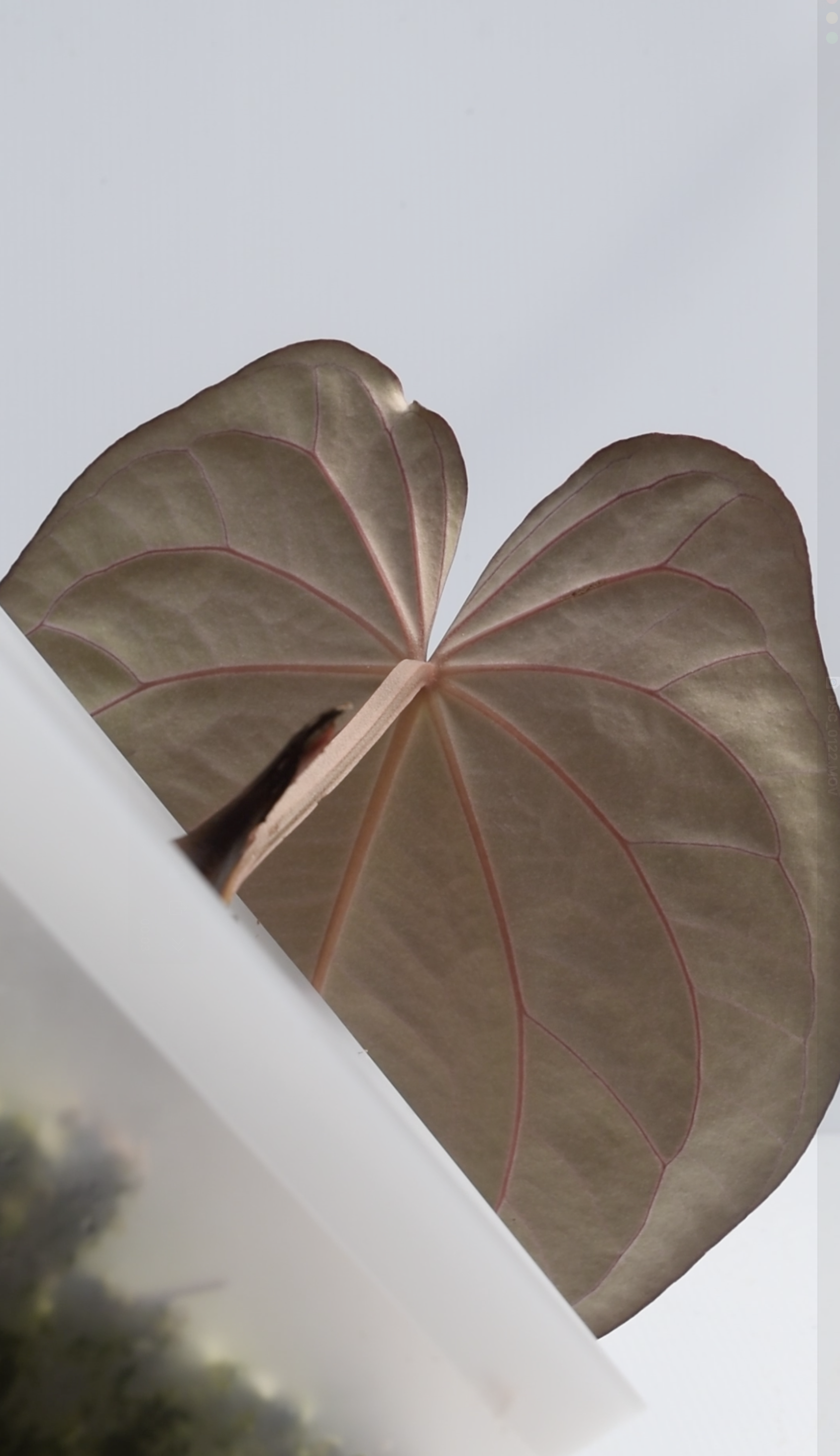 Screenshot 2026-03-26 at 5.01.48 PM.png