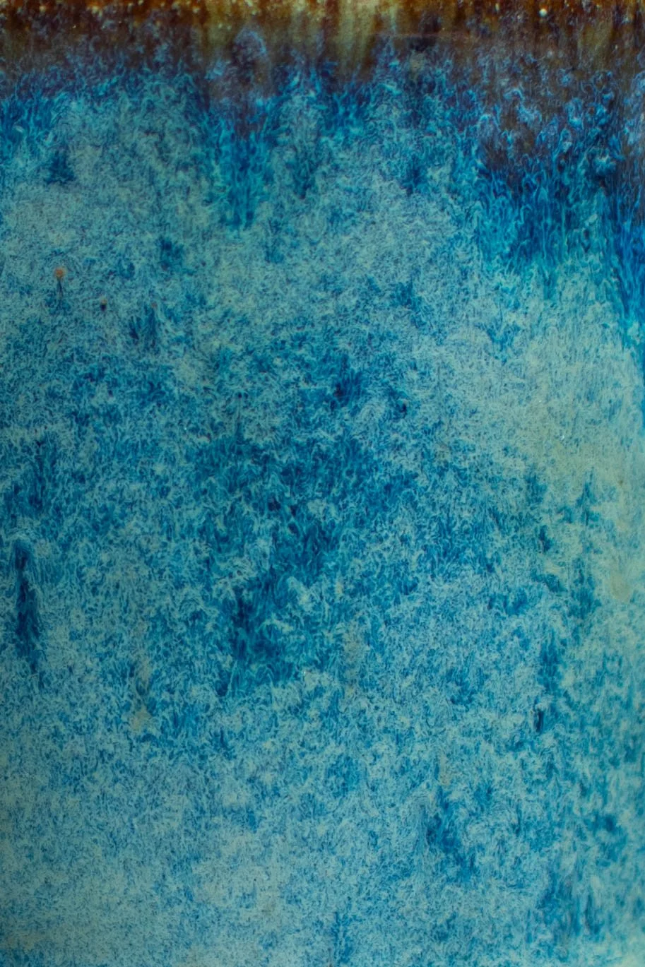 DSC_0918.jpg