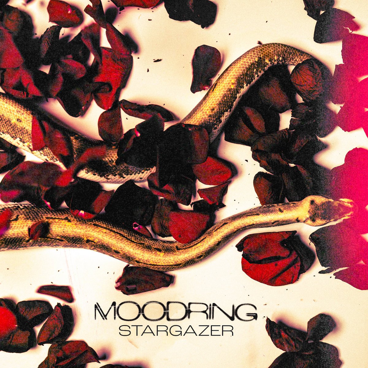 ANNIVERSARY: Stargazer by Moodring turns 4 today - Patreon exclusive B-Sides