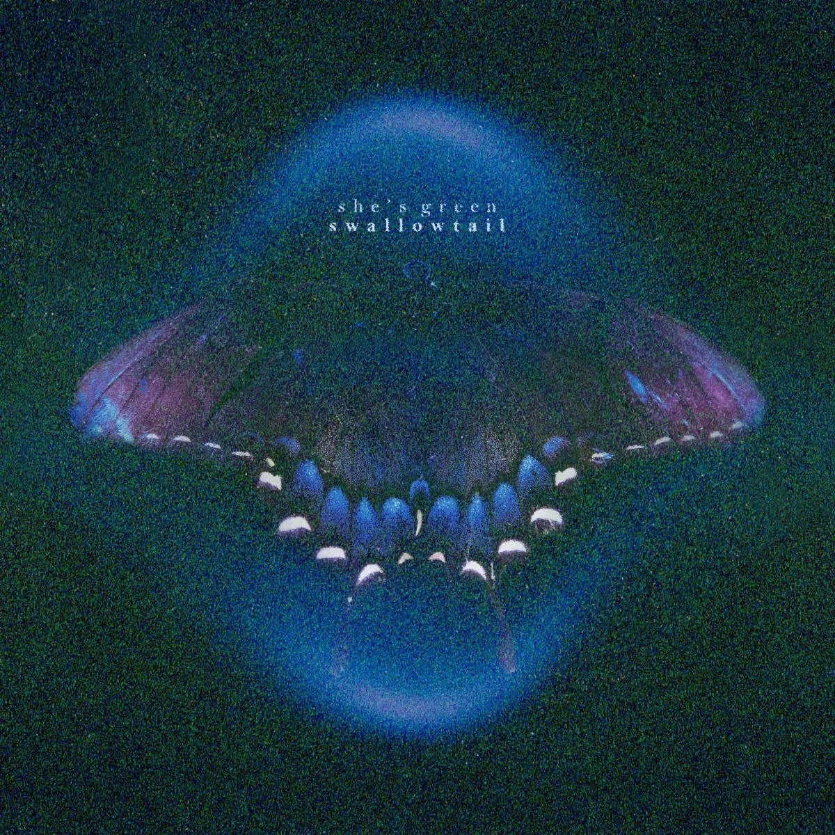 EP Review: Swallowtail by She’s Green