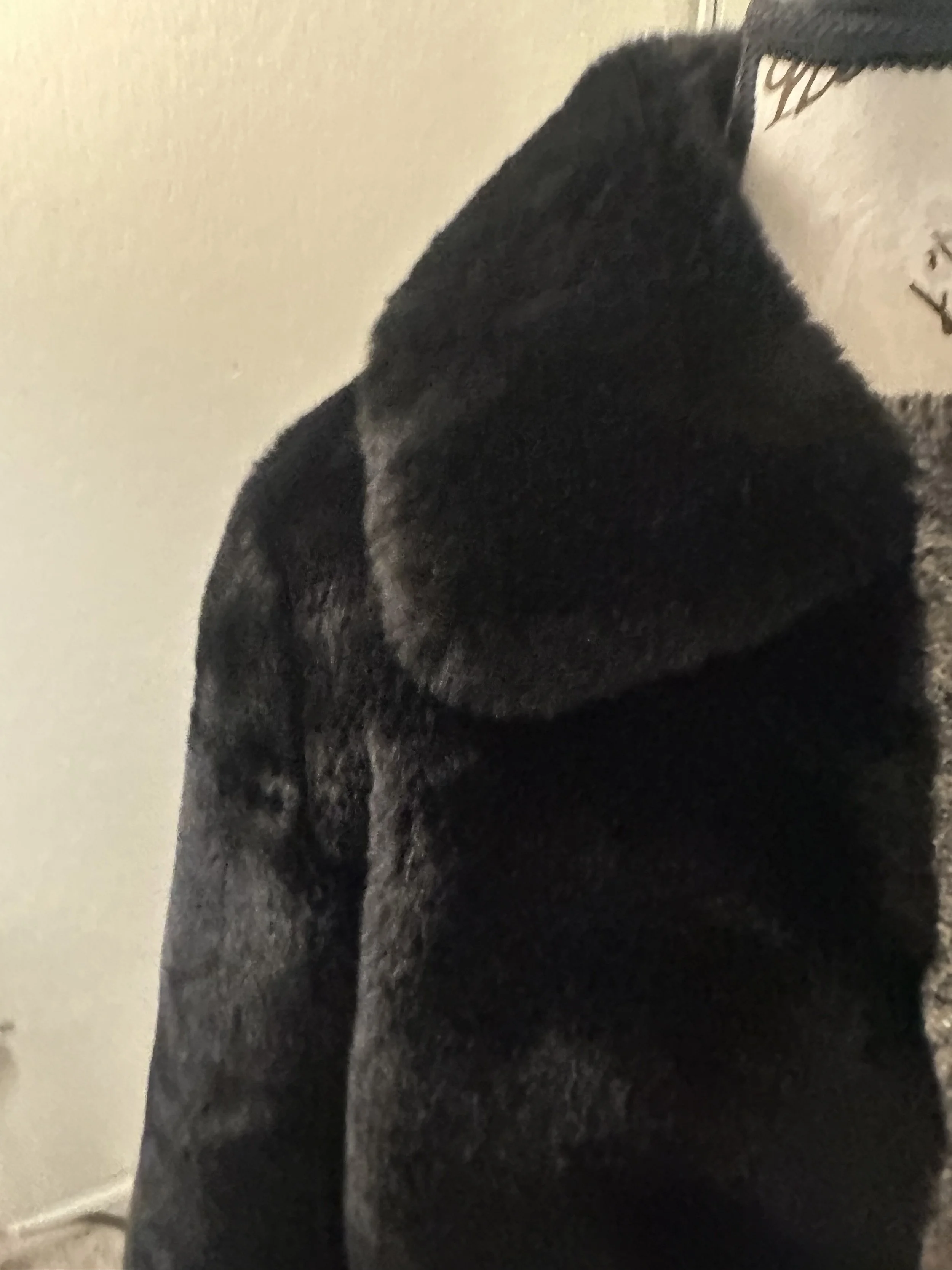 IMG_2224.jpeg
