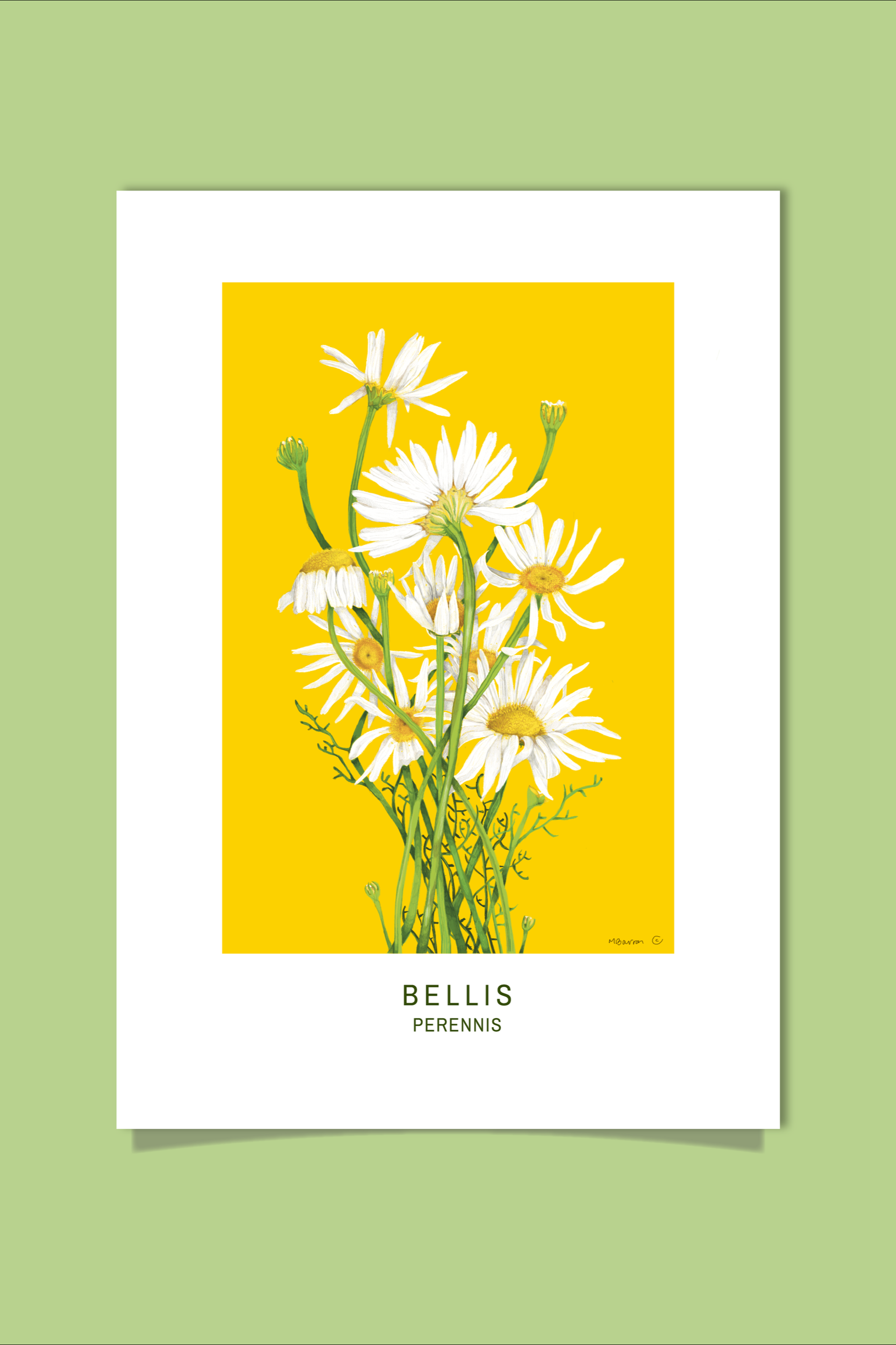 Daisy+-+Etsy-01.png