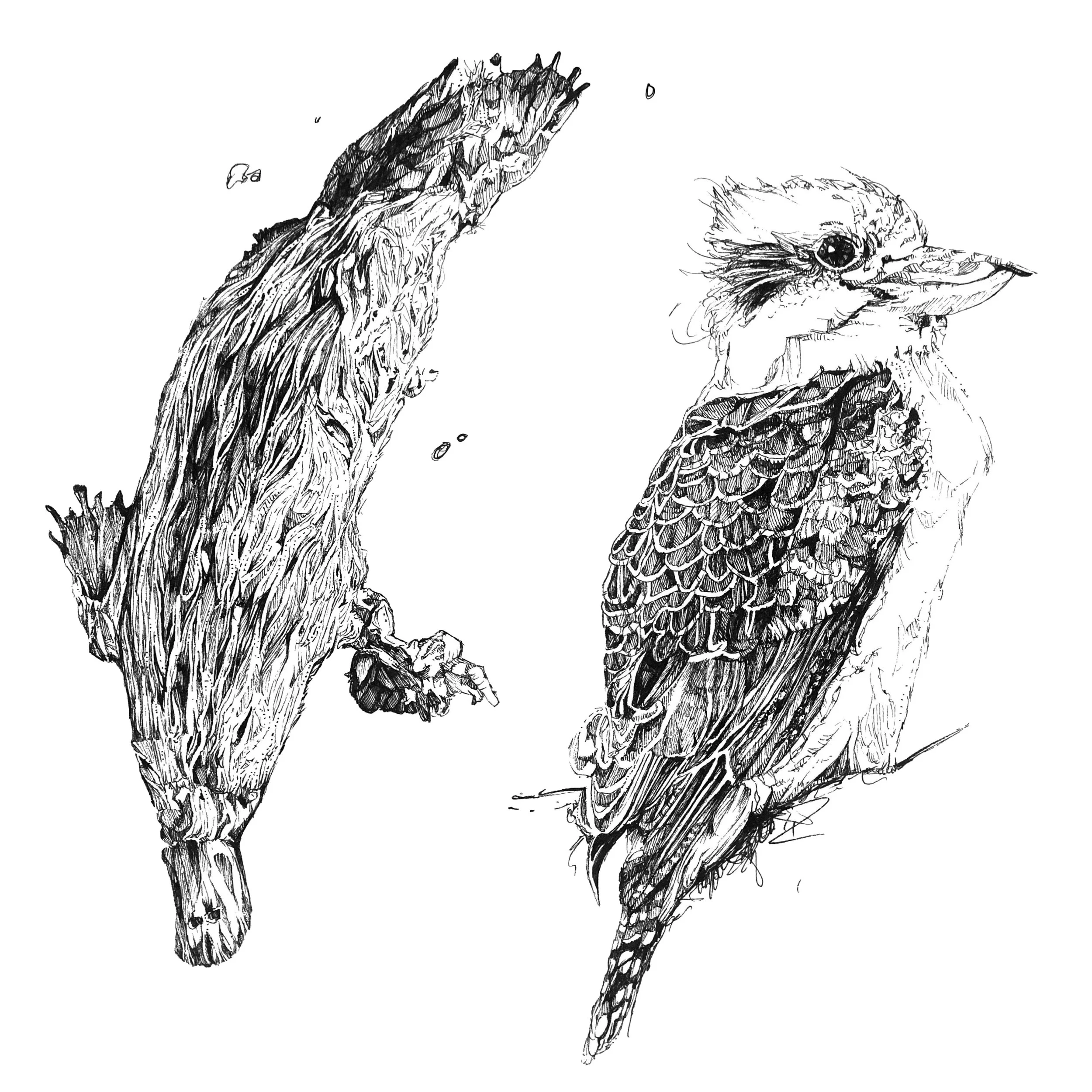 Ink