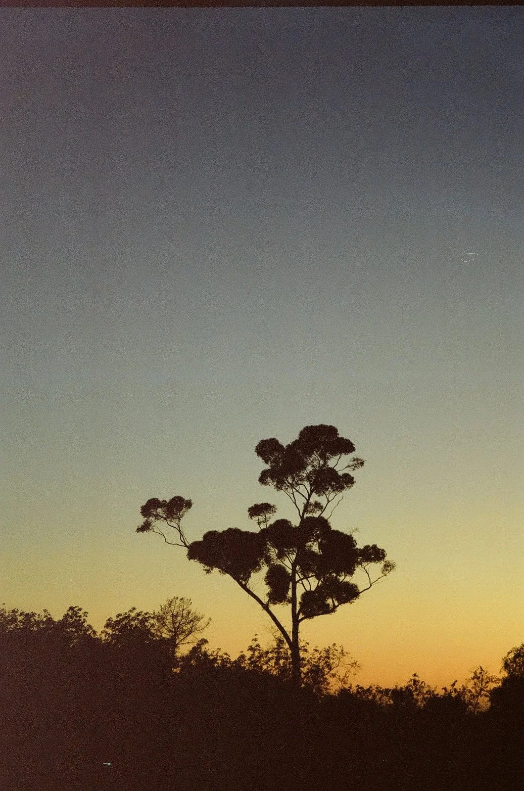 Montecito Sunset.JPG