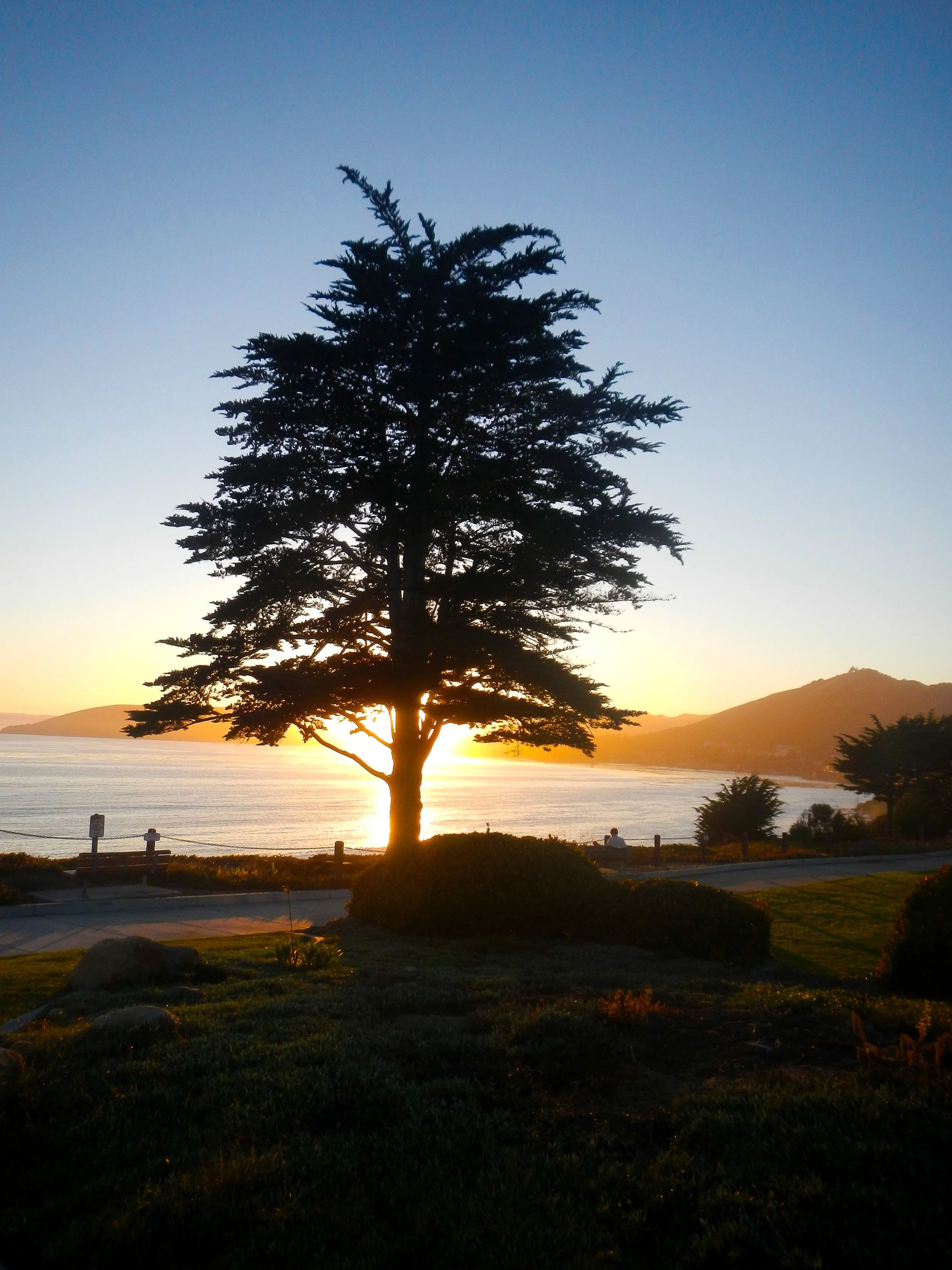 Cypress Sunset at Shell Beach.JPEG
