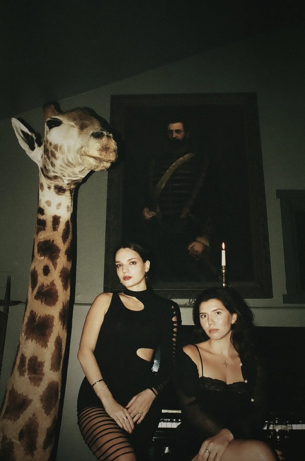 Elsewhere Girrafe 3.JPG