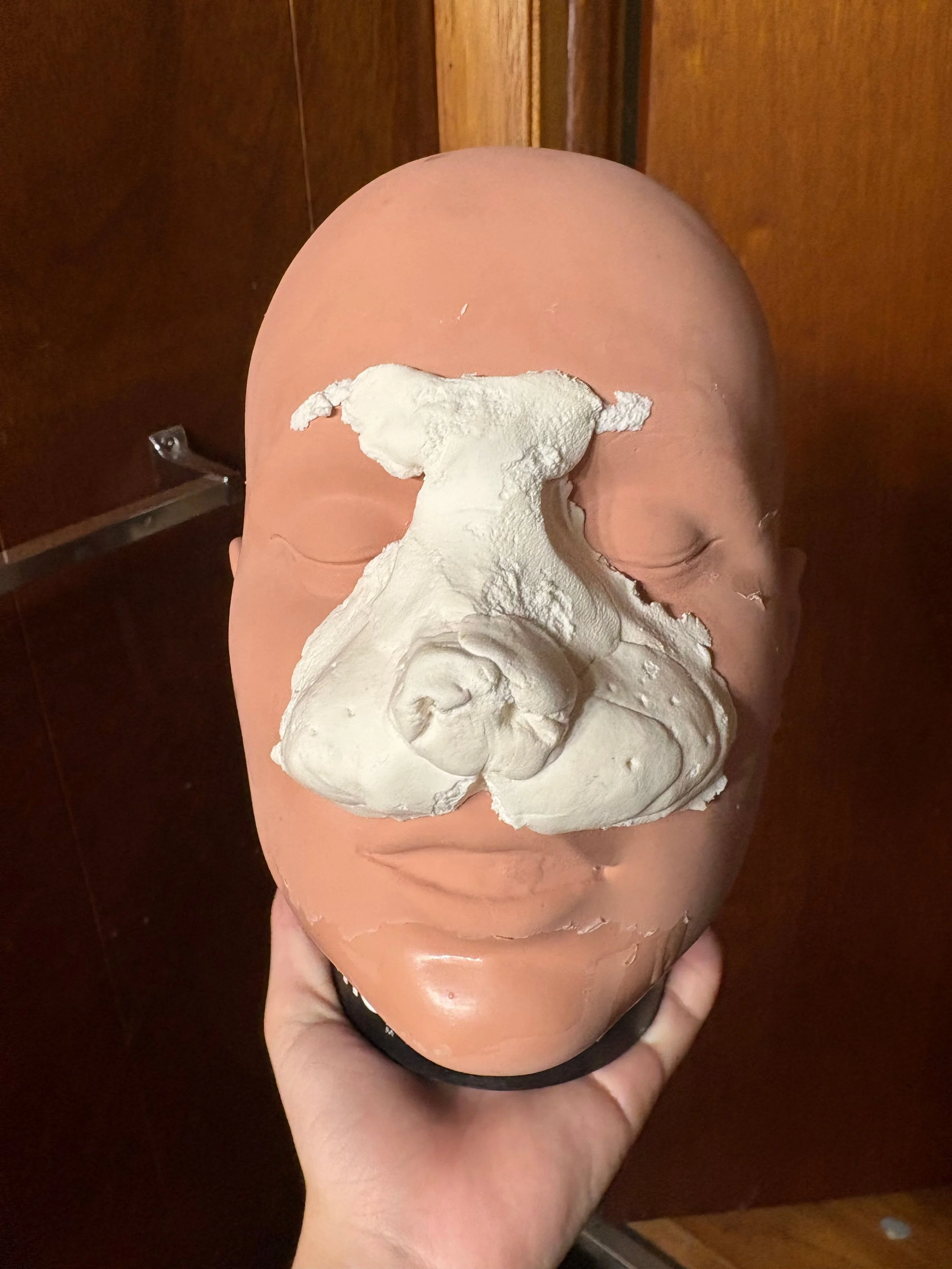 Untitled design-29.jpg