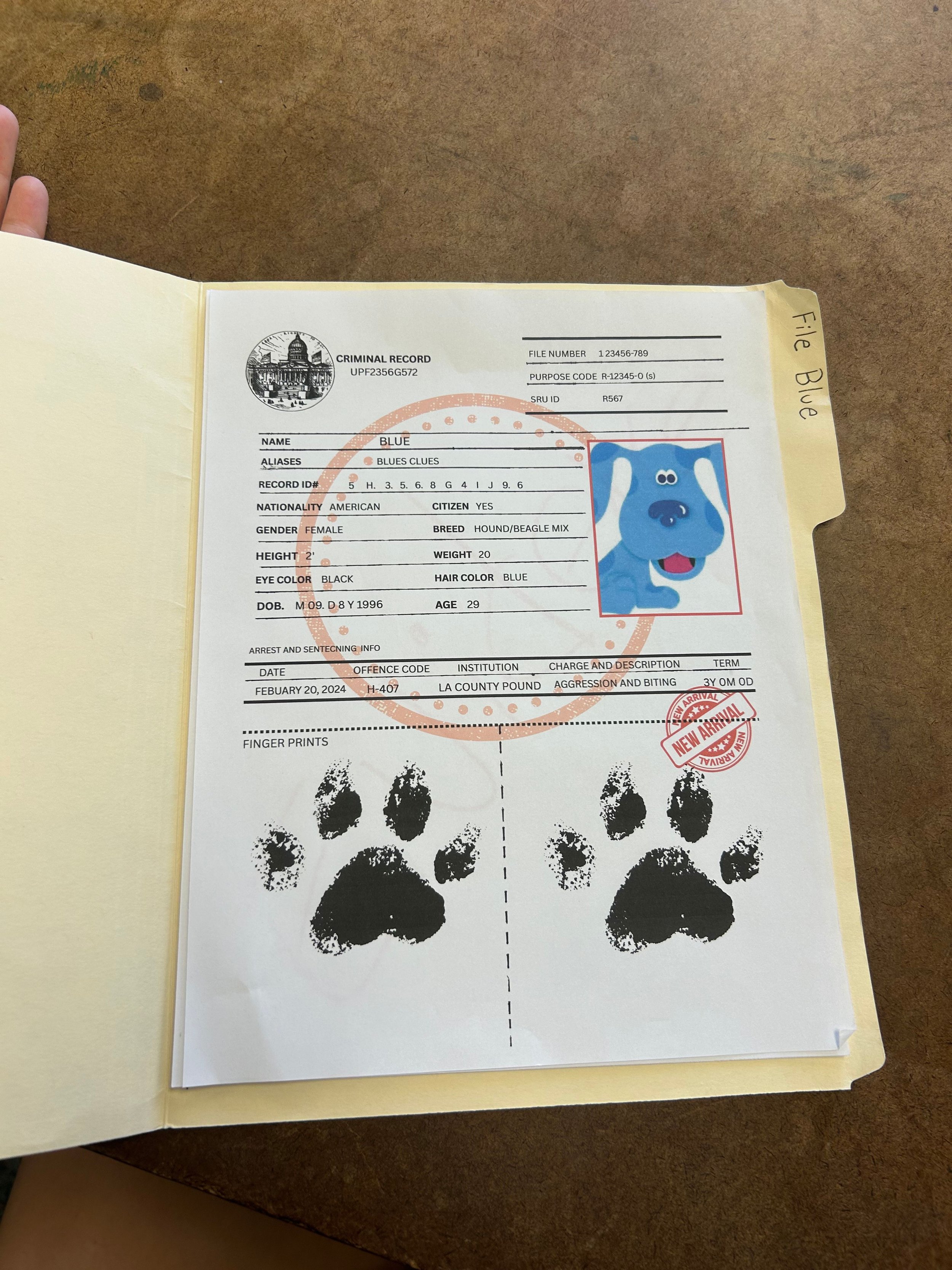 Blues Clues Criminal File