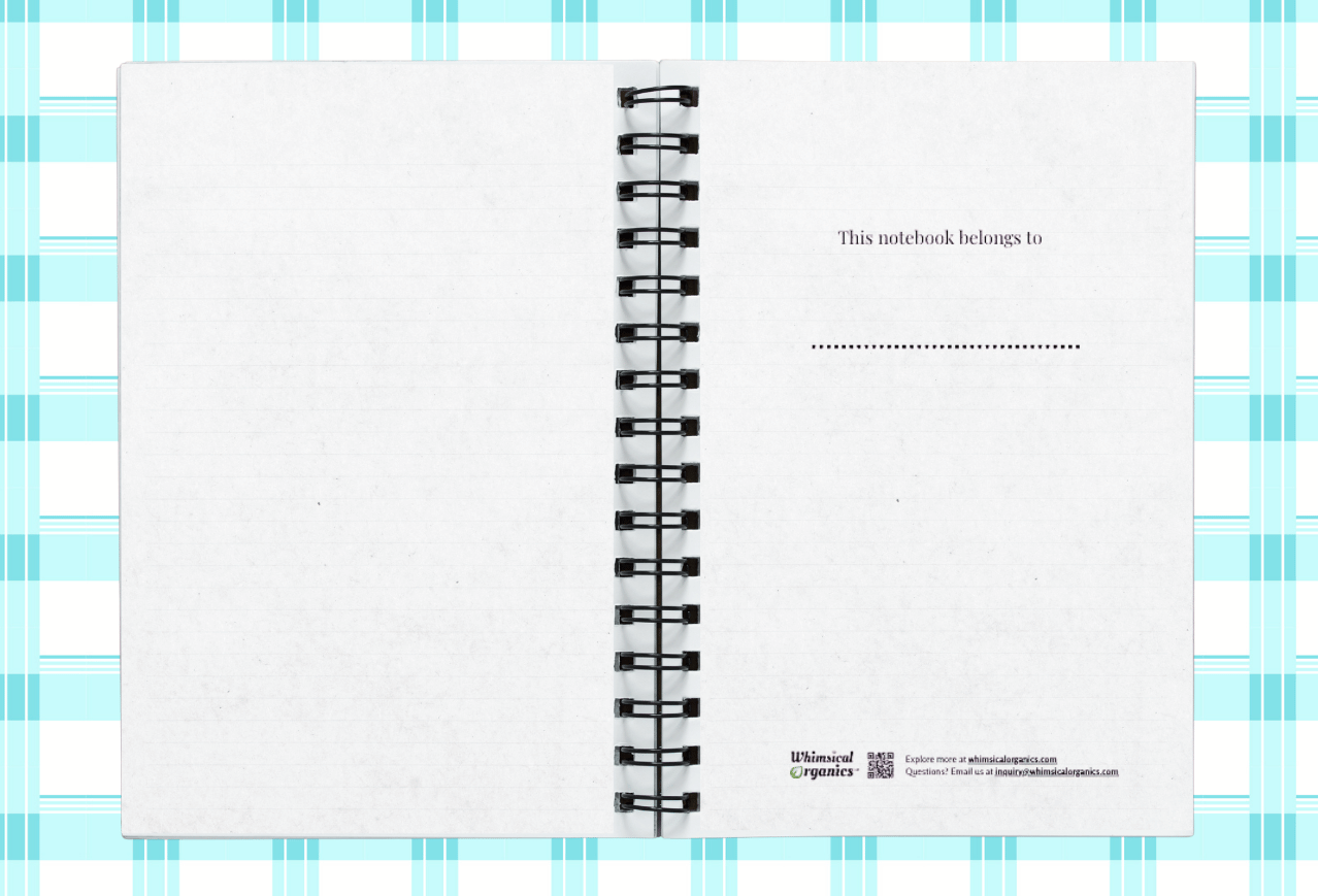 3.notebook-ENB-display3.png