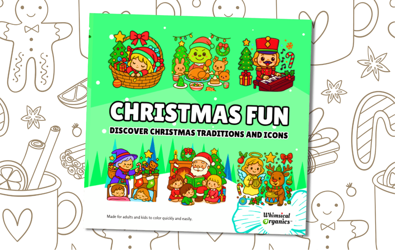 Christmas Fun Coloring Book