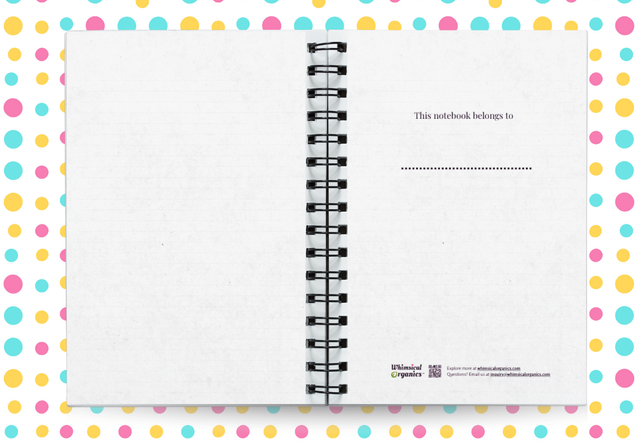 8.notebook-TIC-display3.png