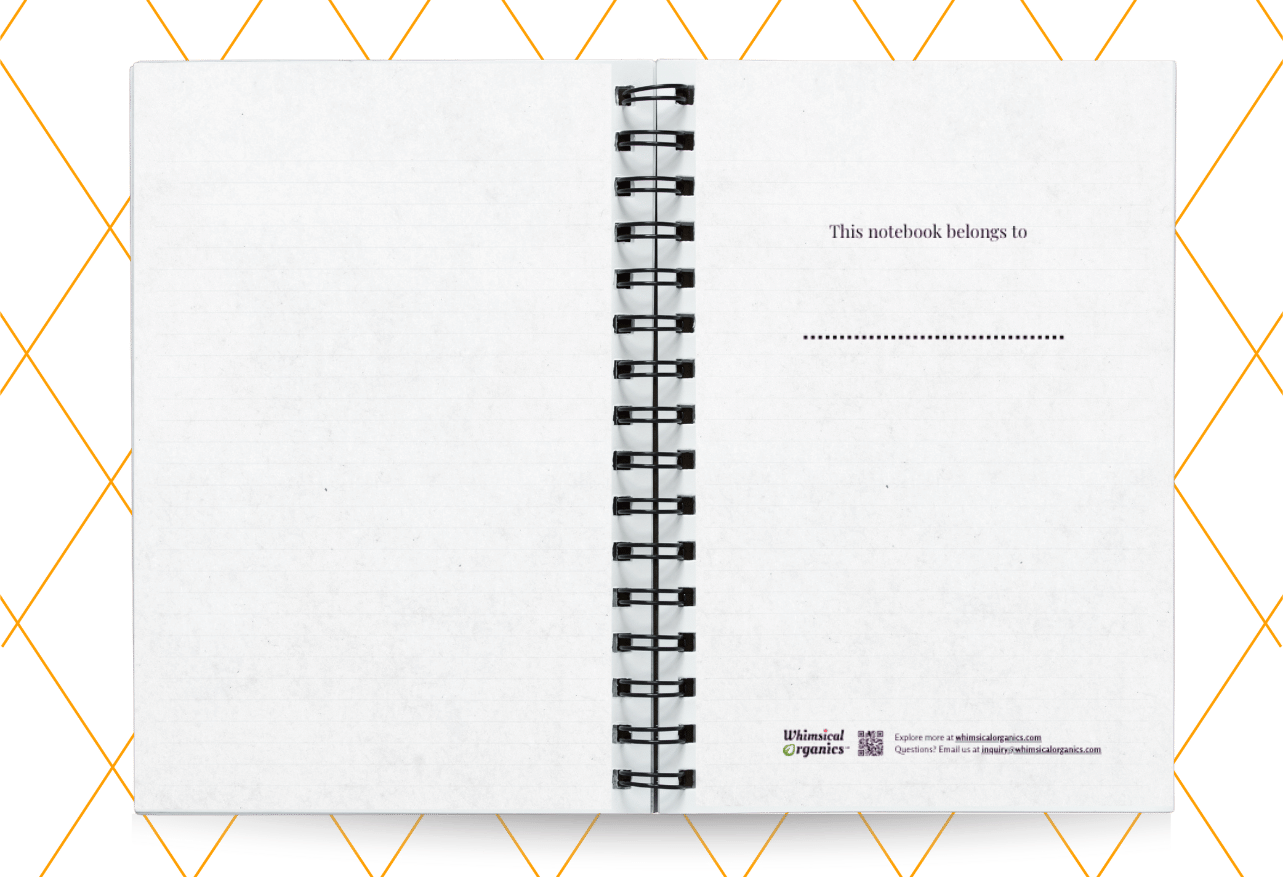 10.notebook-YRB-display3.png