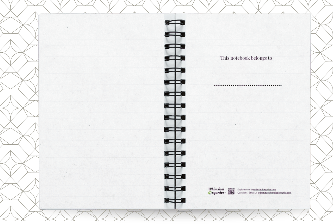 2.notebook-BWG-display3.png