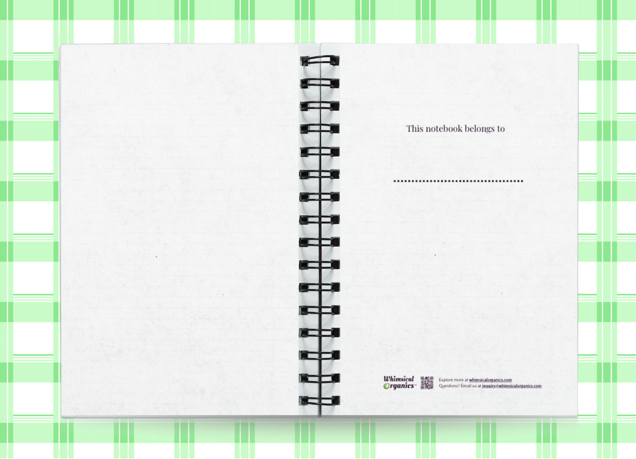 6.notebook-SFWF-display3.png