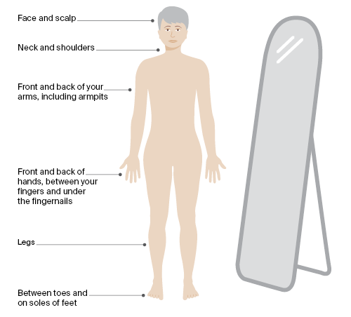 Diagram of a human body with labels pointing to different areas including face and scalp, neck and shoulders, front and back of arms including armpits, front and back of hands with fingers and under fingernails, legs, and between toes and on soles of feet, alongside a standing mirror.
