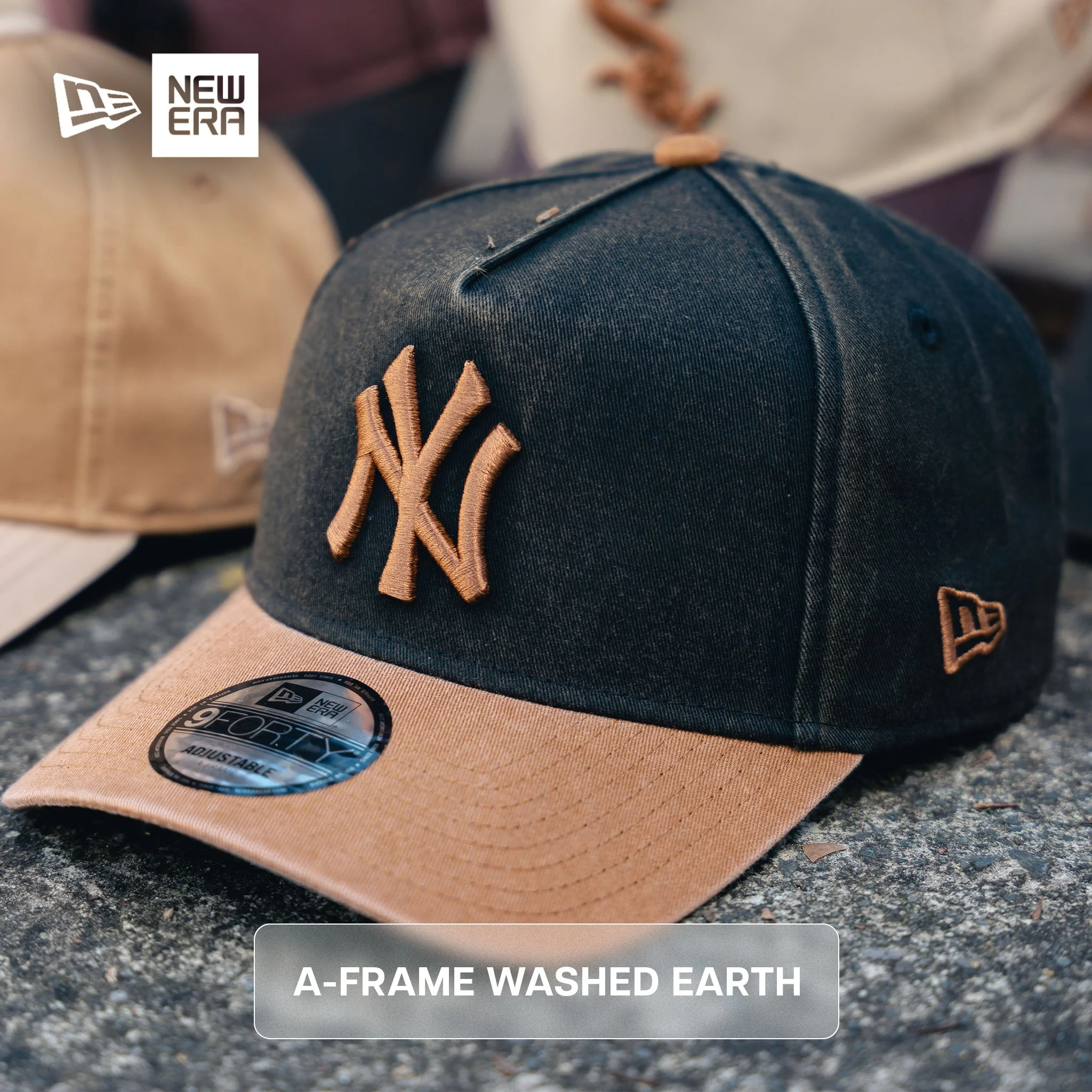A-FRAME_WASHED_EARTH.jpg