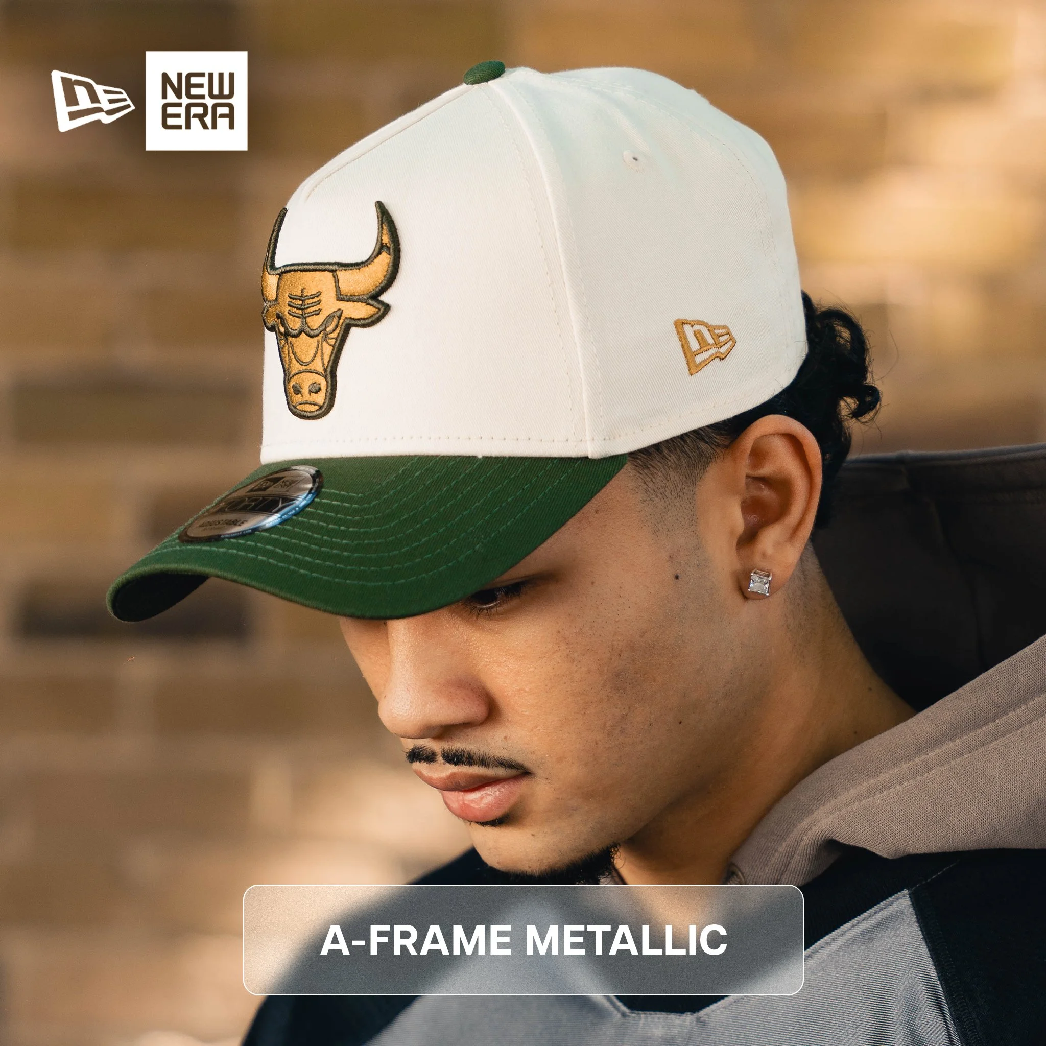A-FRAME_METALLIC_V2.jpg
