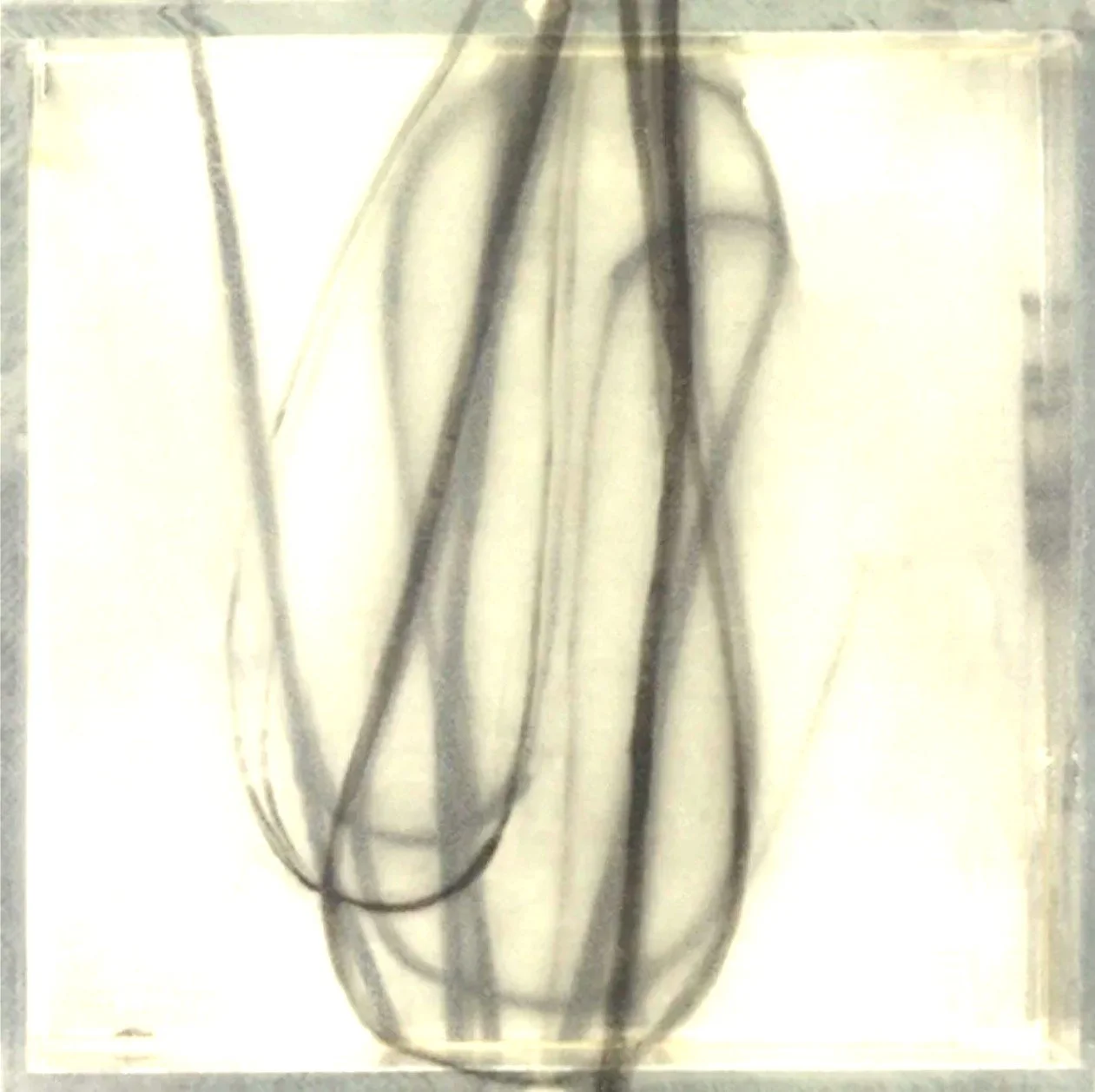 Flickr, Mix Media on Wood Panel, 30 x 30 in 