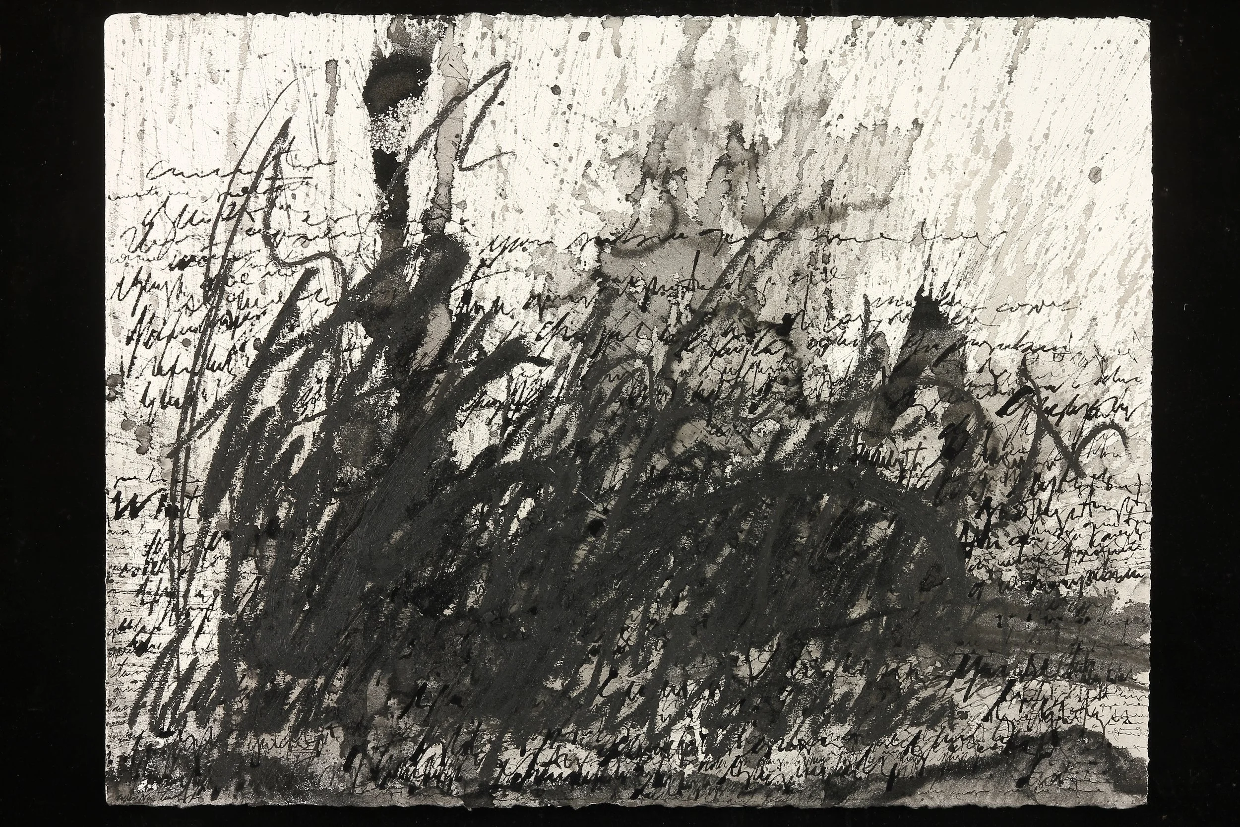 Asemic N532.15, Sumi Ink, Oil on Paper, 22 x 30 in