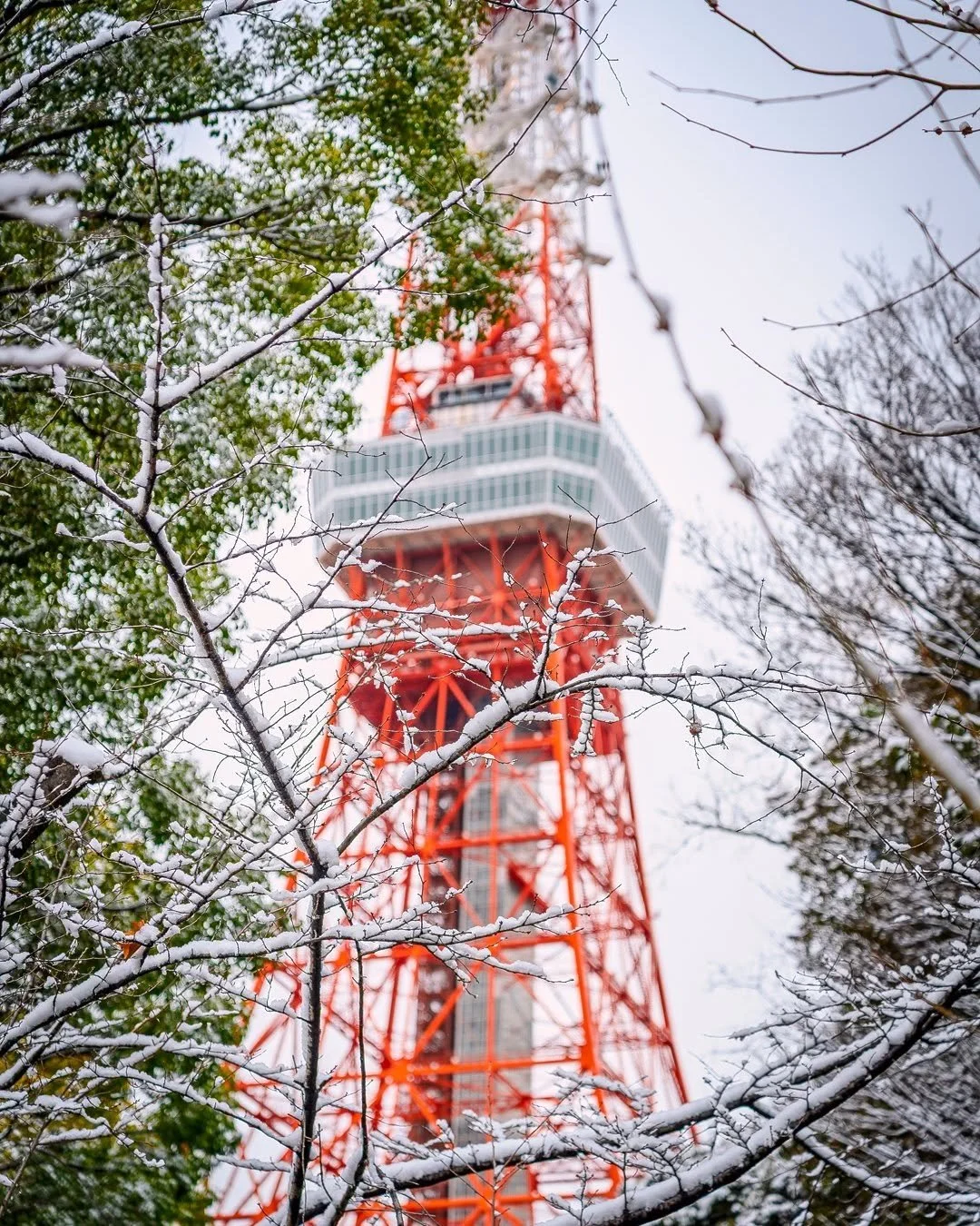 Zojo-ji Temple ☃️