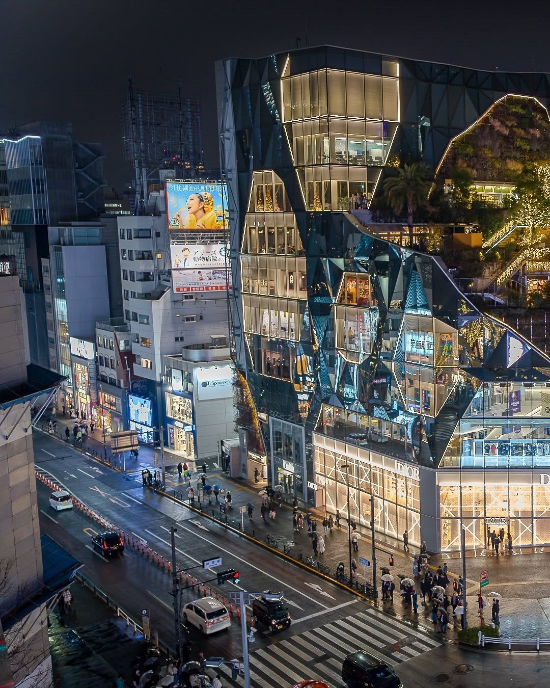 🎄 Omotesando 🎄