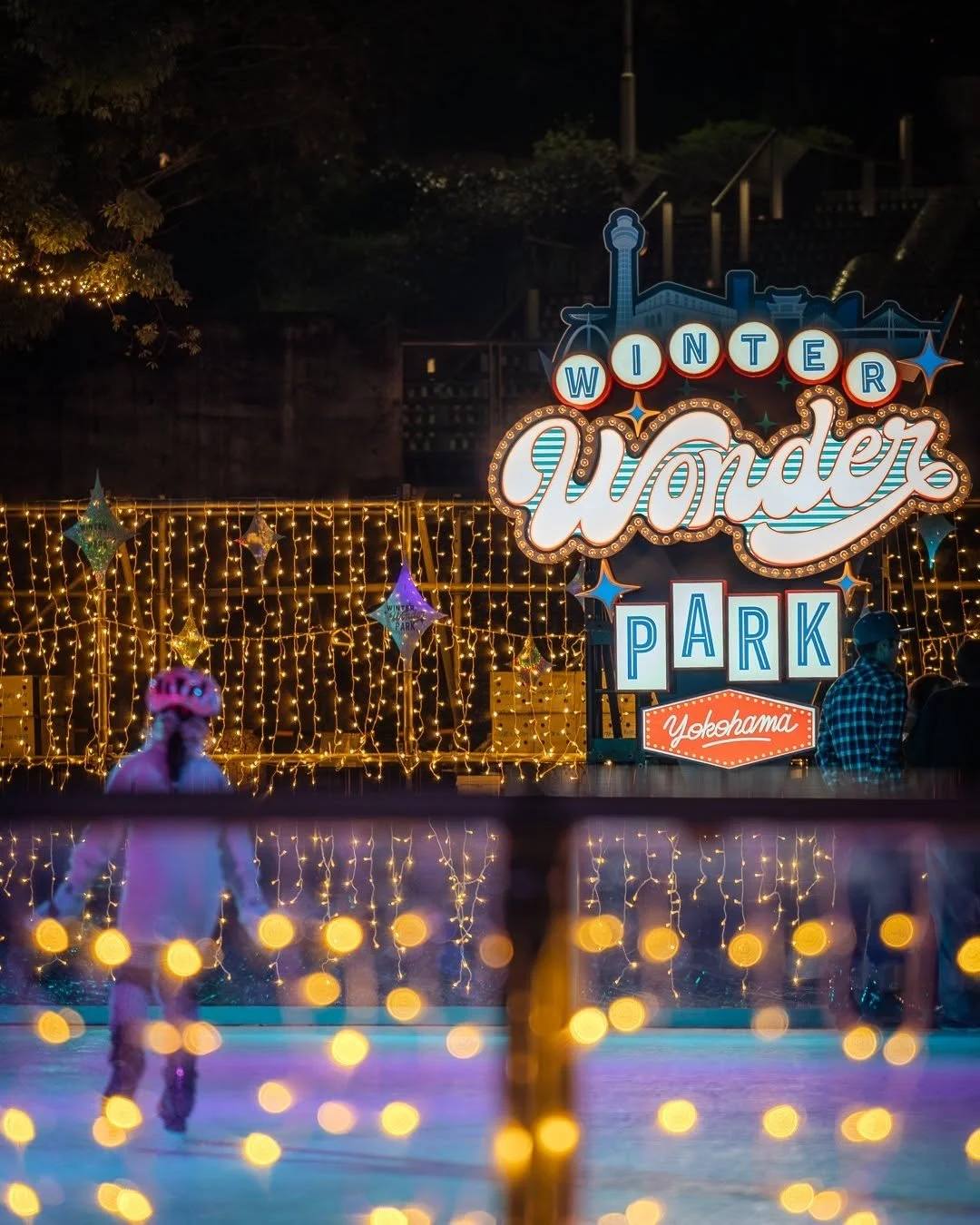 Winter Lights ☃️❄️☃️