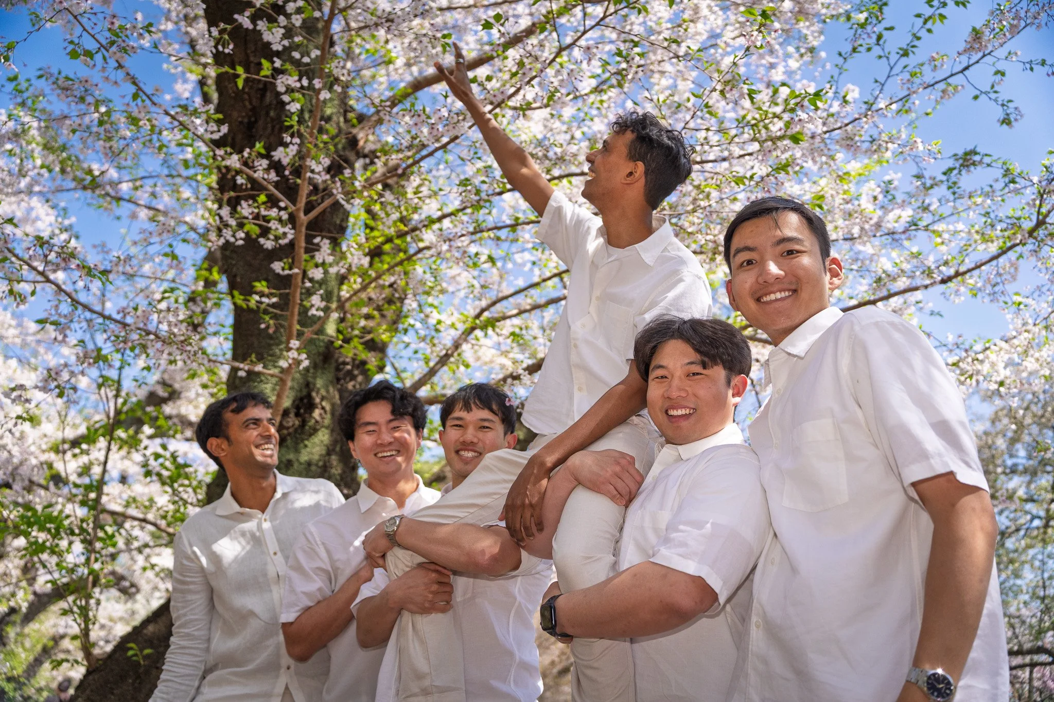 Group of six young men in white shirts smiling and holding one person up in front of a blooming cherry blossom tree with blue sky.