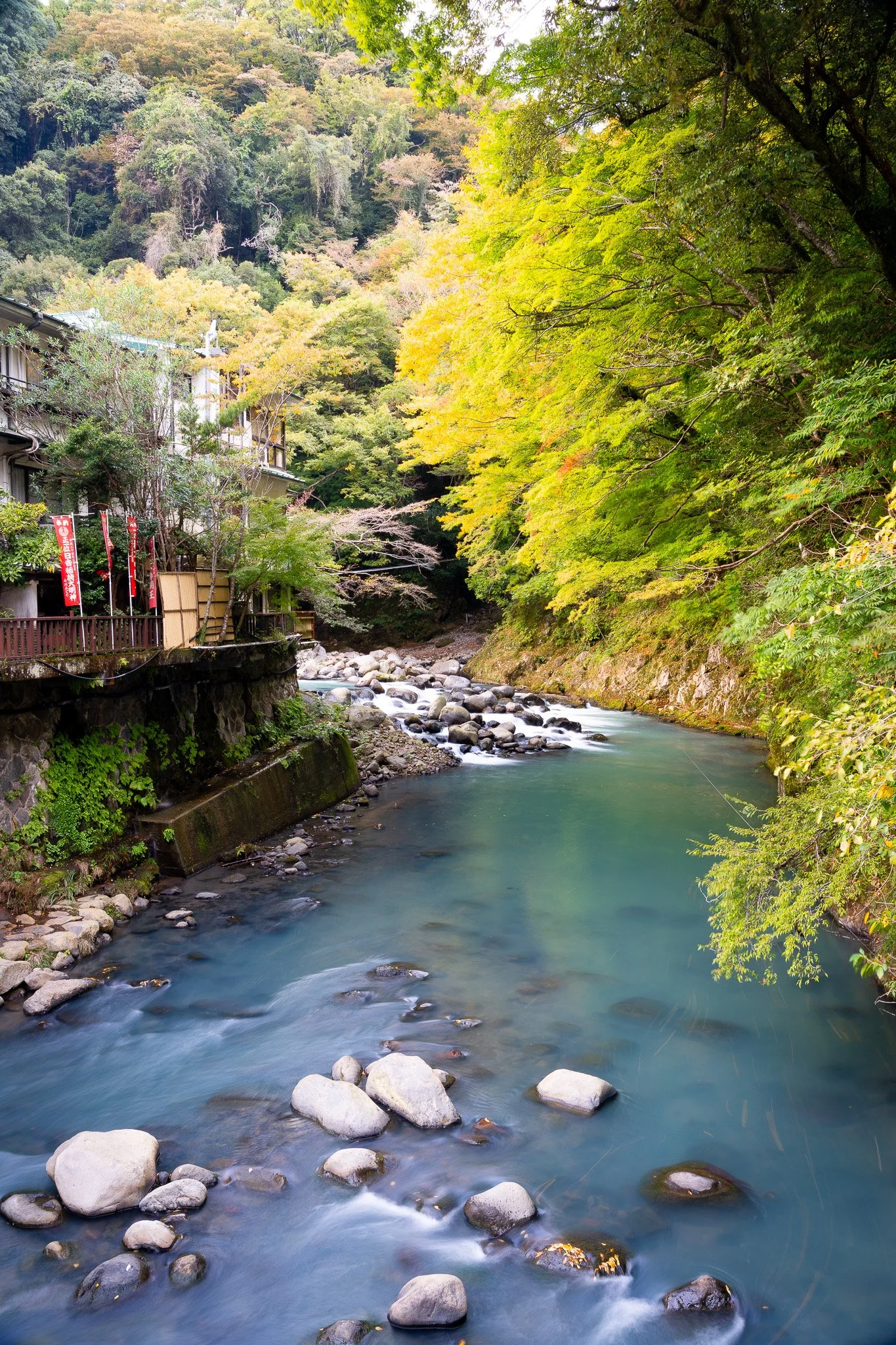 A serene river flowing through a lush, green forest with trees showing fall colors, and buildings along the rocky riverbank.