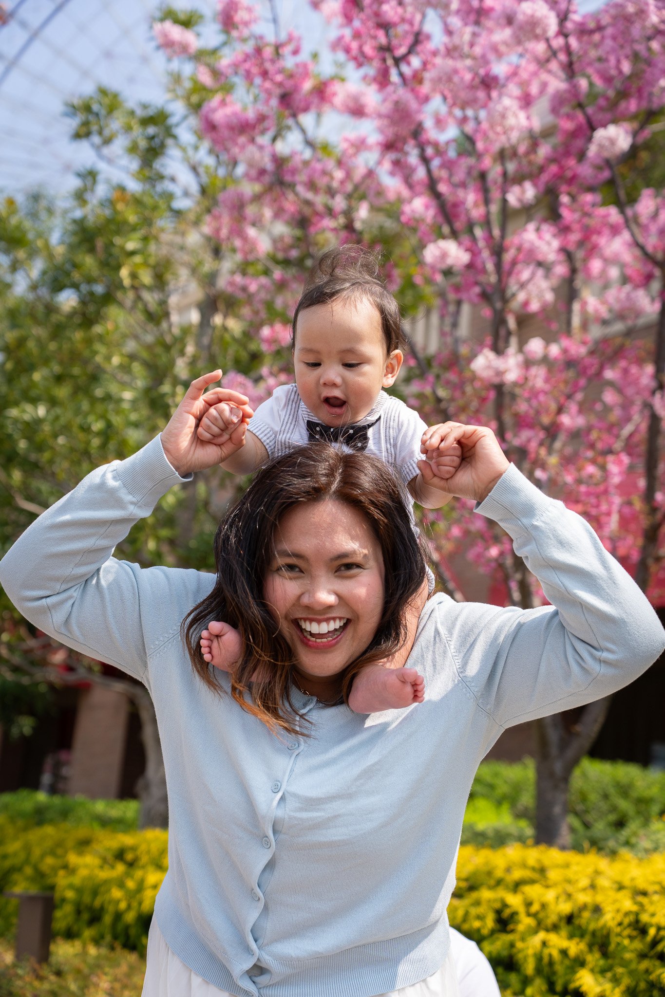 A woman is smiling and carrying a young child on her shoulders in a park with pink blooming trees in the background.