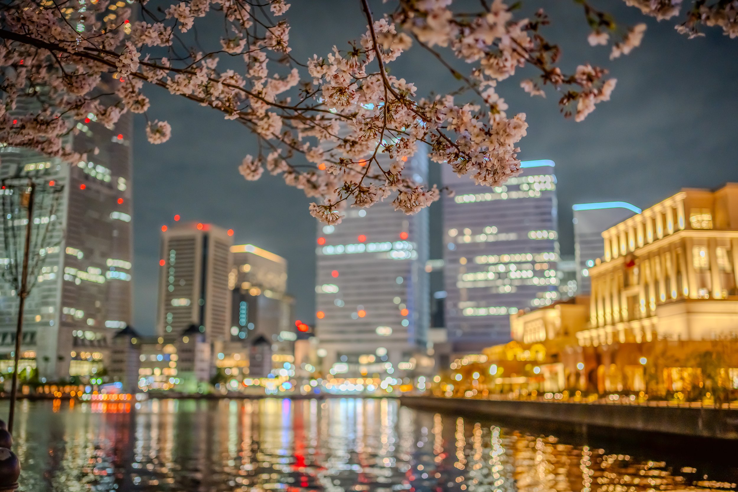 DSC05661-HDR-2.jpg (Copy)