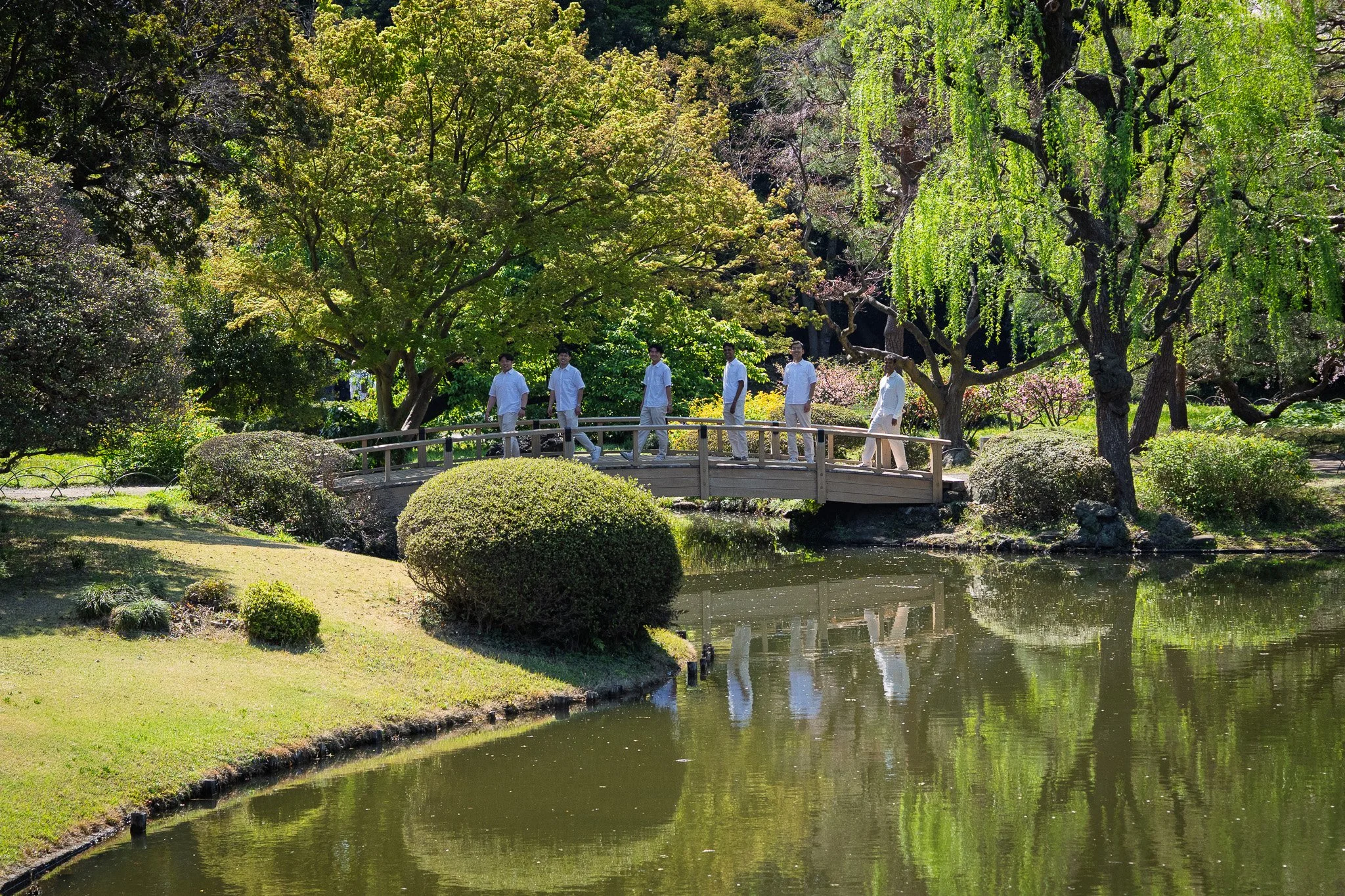 Group of six people walking across a small wooden bridge over a pond in a lush, green garden with trees and shrubs.