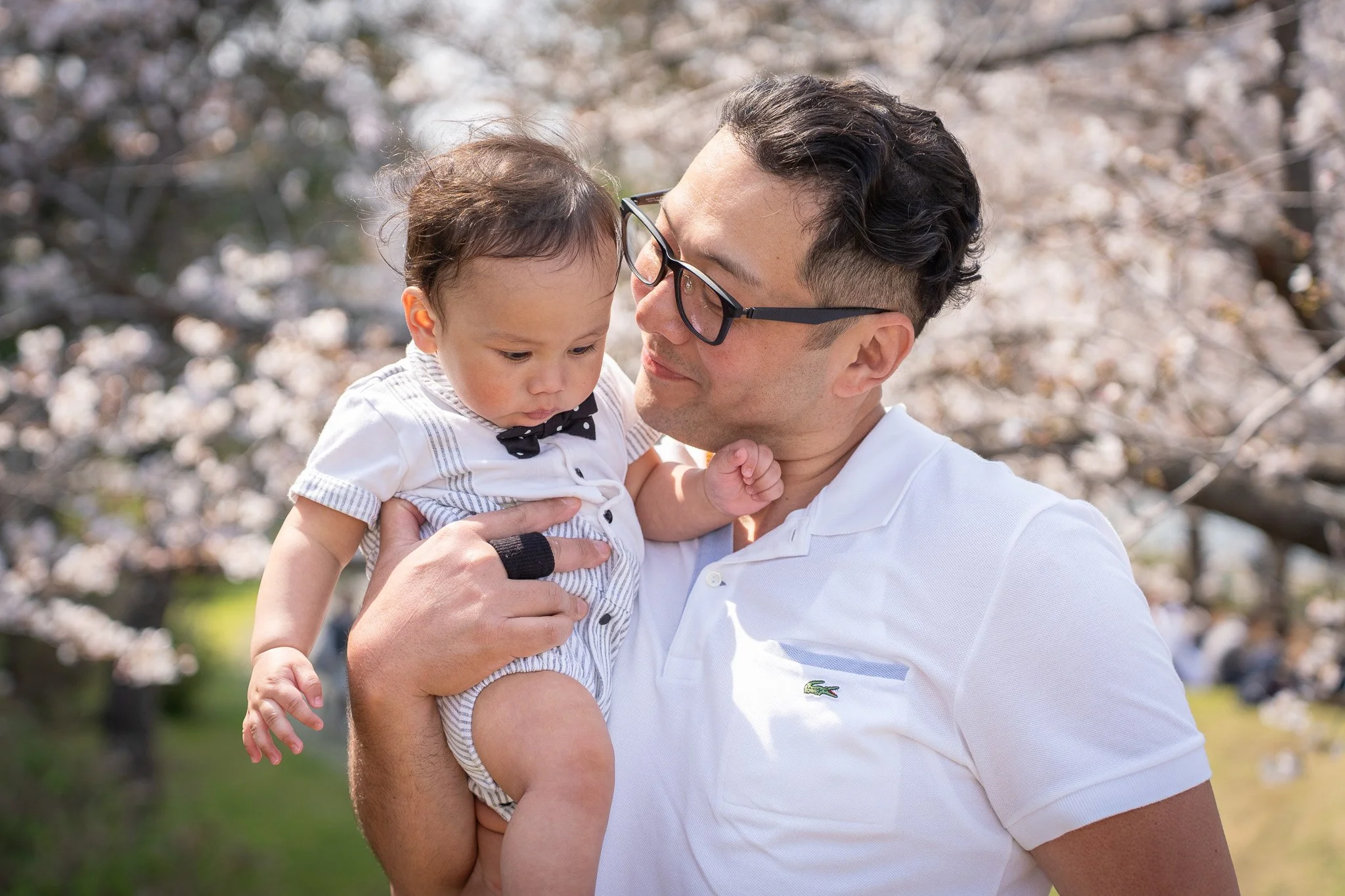 A man wearing glasses and a white polo shirt holding a young child outdoors in front of blooming cherry blossom trees.