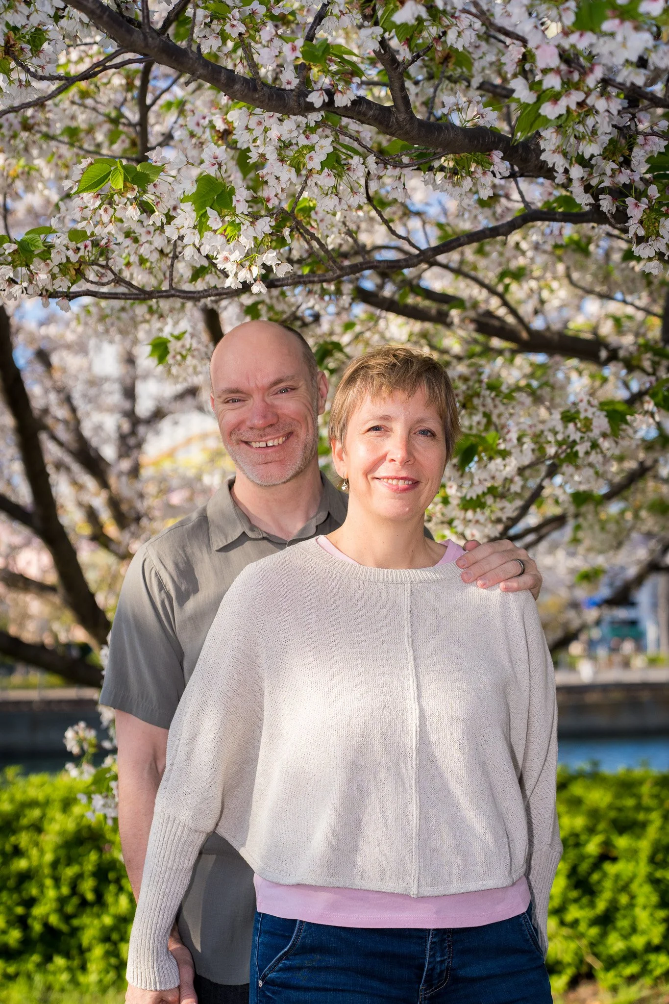A smiling couple standing close together outdoors under blooming cherry blossom trees, with a green hedge and water in the background.