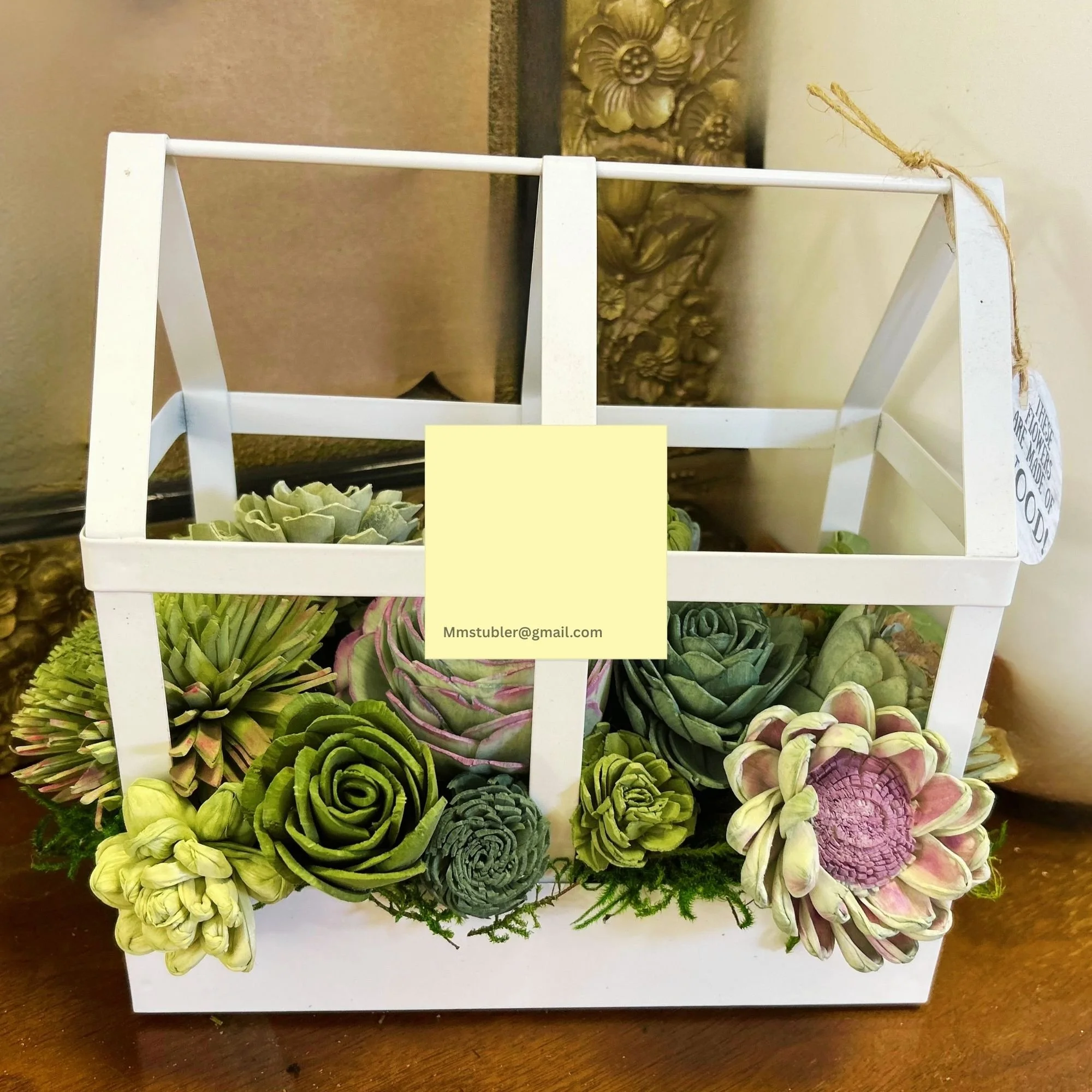 Succulent.jpg