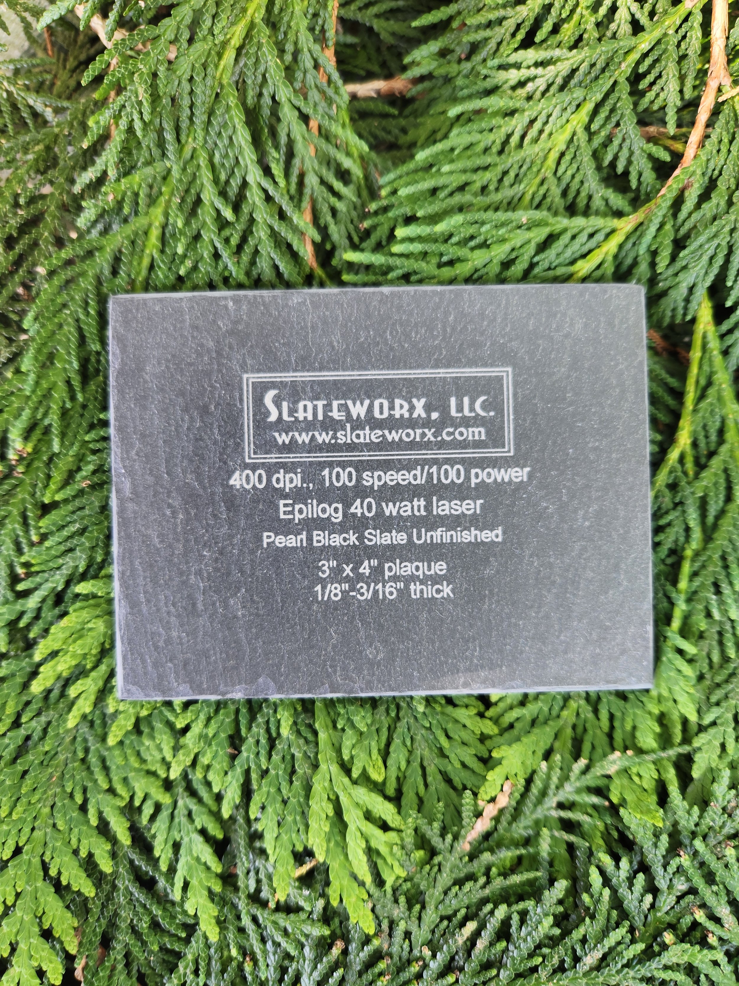 20240528_151444.jpg (Copy) (Copy) (Copy) (Copy) (Copy)