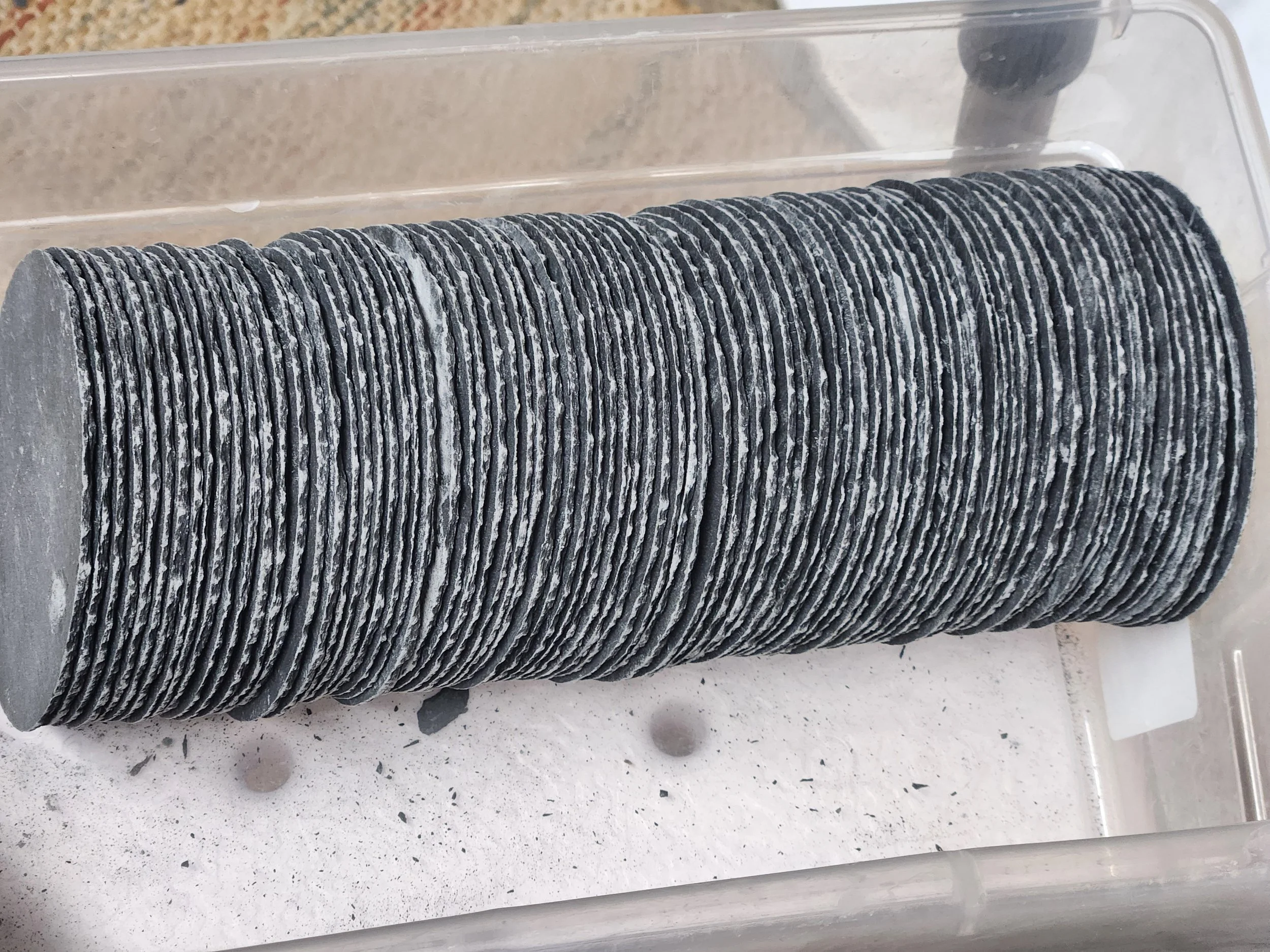 20240907_203902.jpg (Copy)