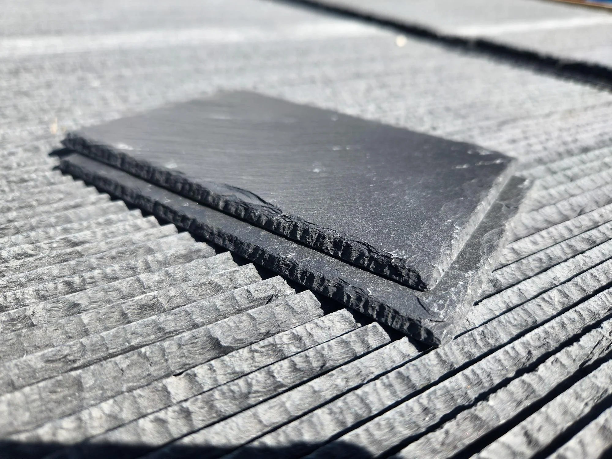 20250721_172659.jpg (Copy) (Copy) (Copy) (Copy) (Copy)