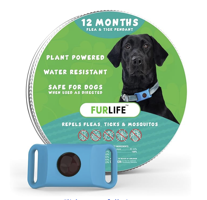 Flea and Tick prevention tag
