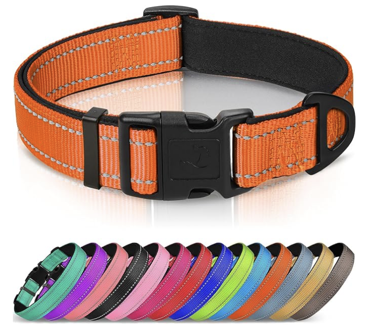 Dog Collars