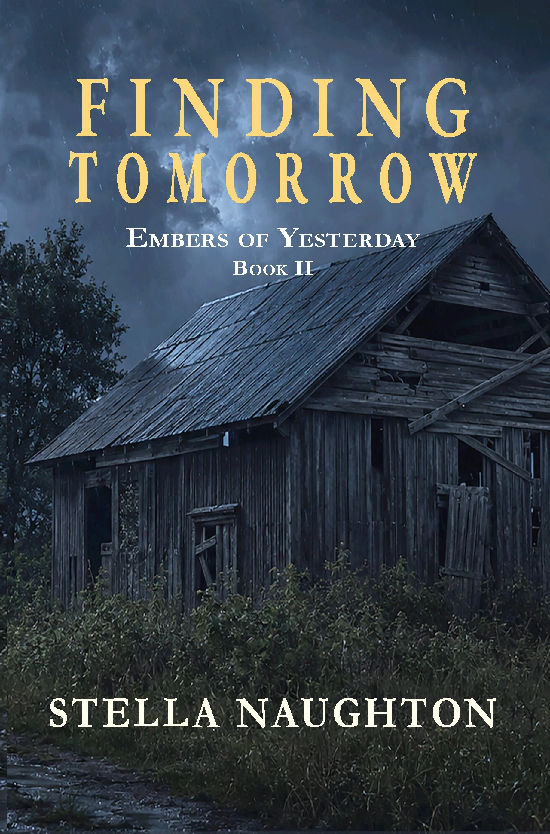 AnamCaraPress-Book2.jpg
