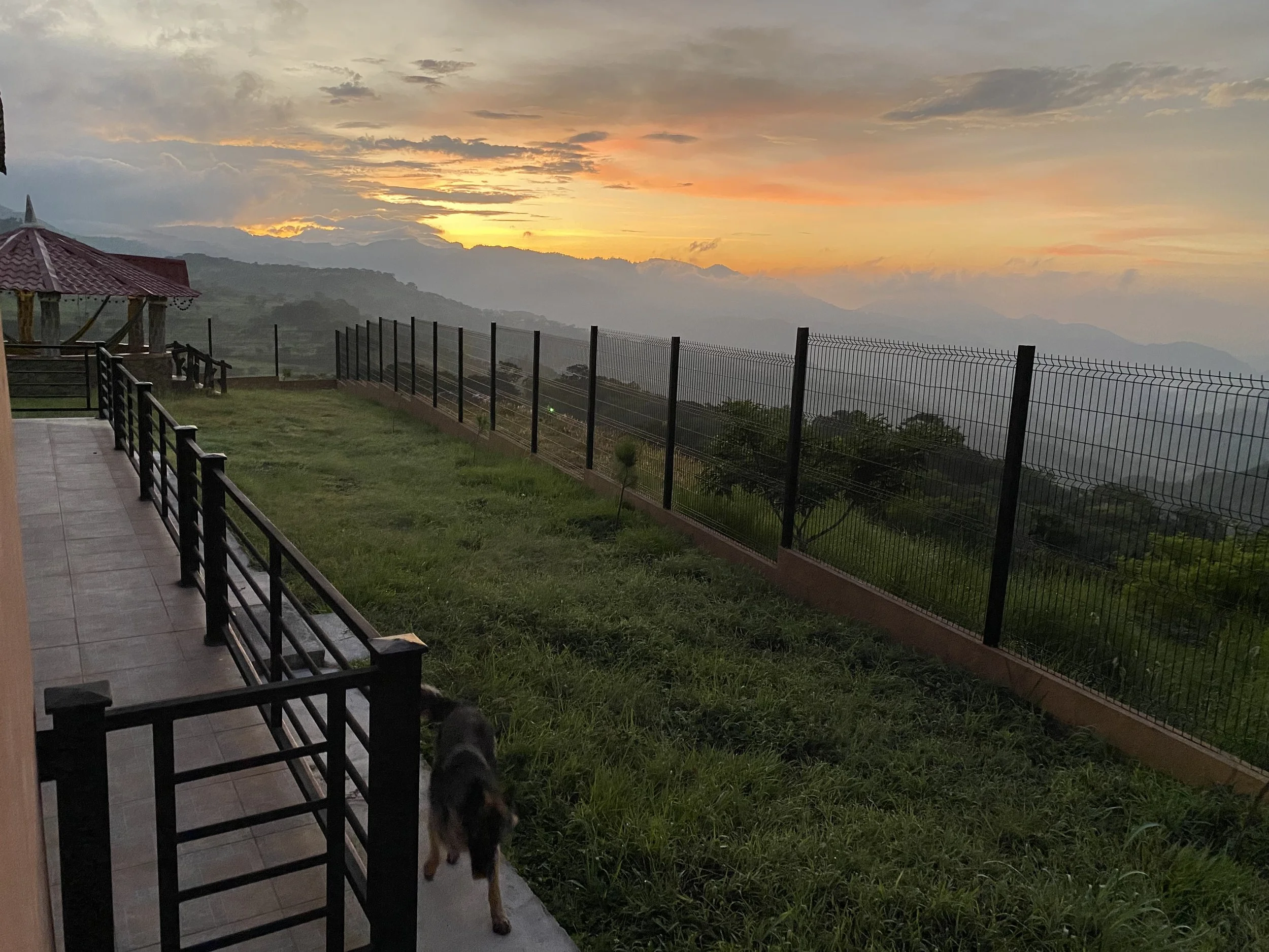 Sunset over mountains viewed from a balcony with a black metal railing, a small gazebo with a red roof, and a dog standing on the tiled floor near the railing.
