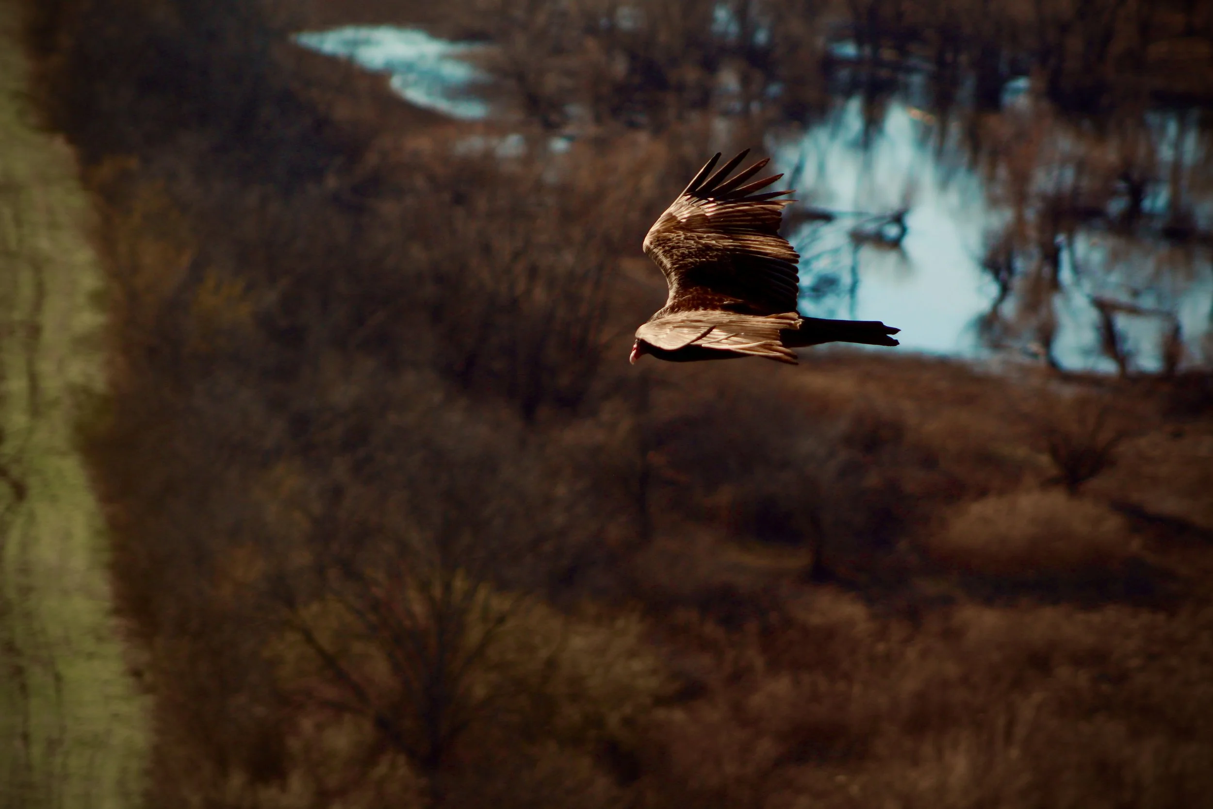 Insperation point 3 .jpg