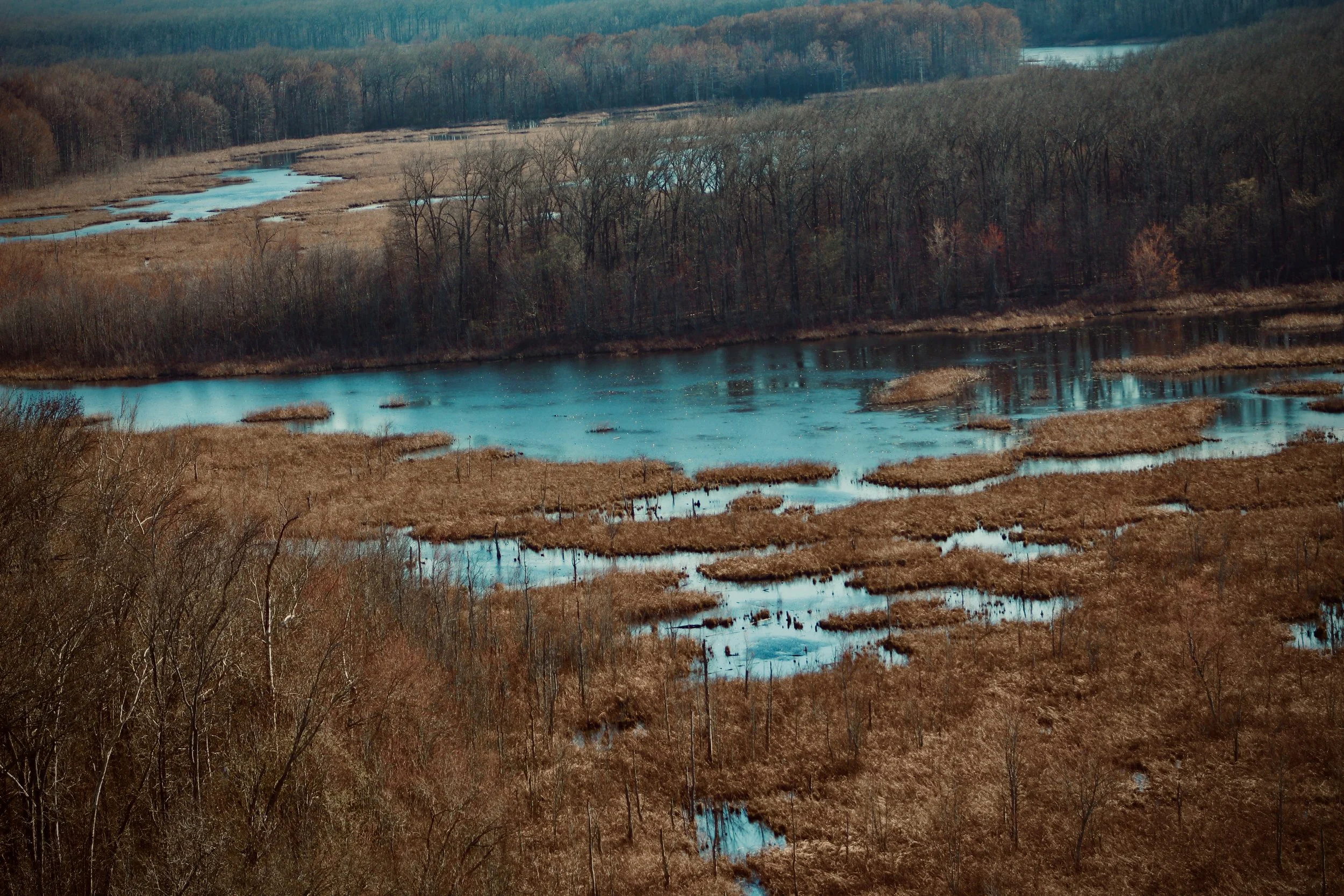 Insperation point 2 .jpg